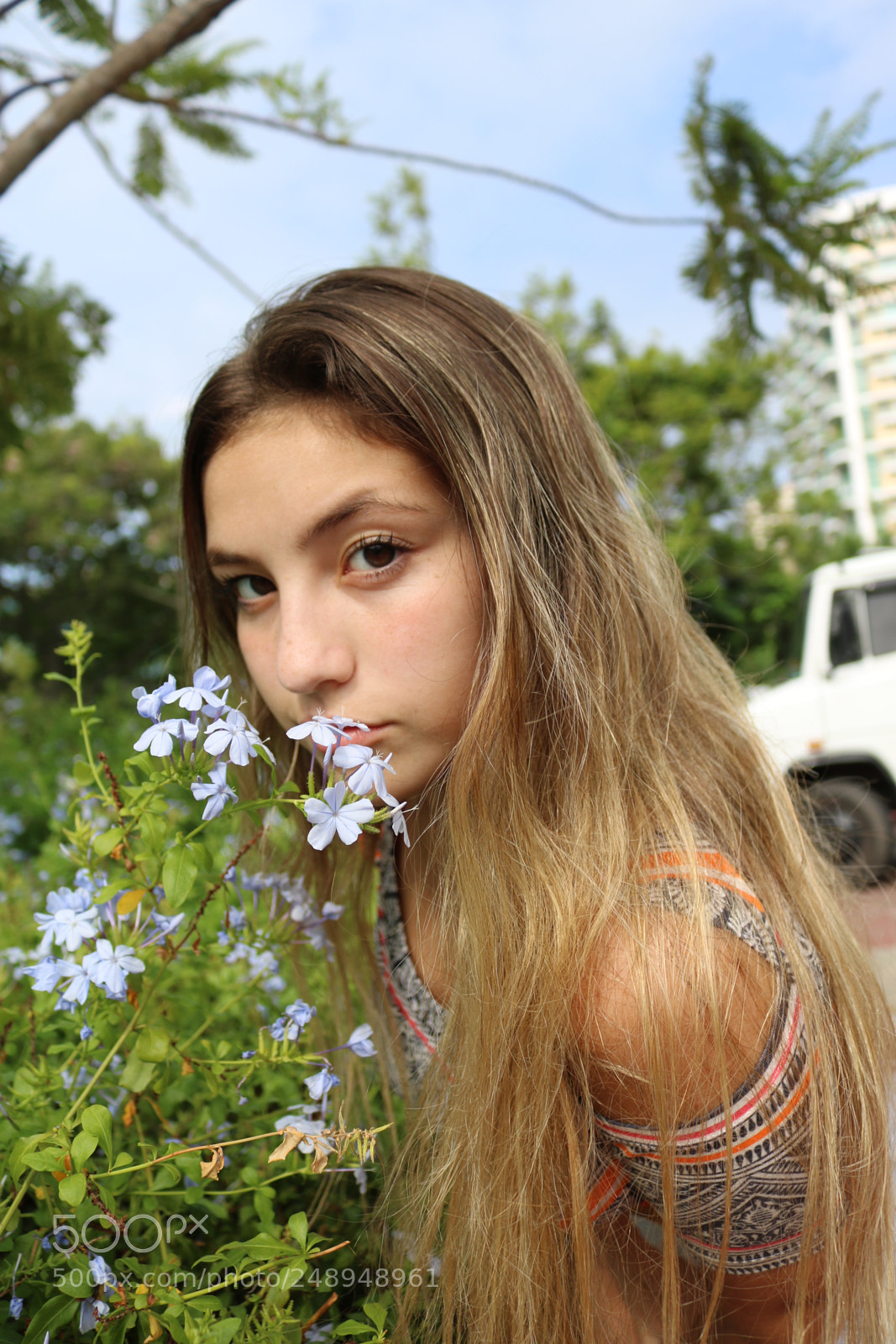 Canon EOS 750D (EOS Rebel T6i / EOS Kiss X8i) sample photo. Untitled photography