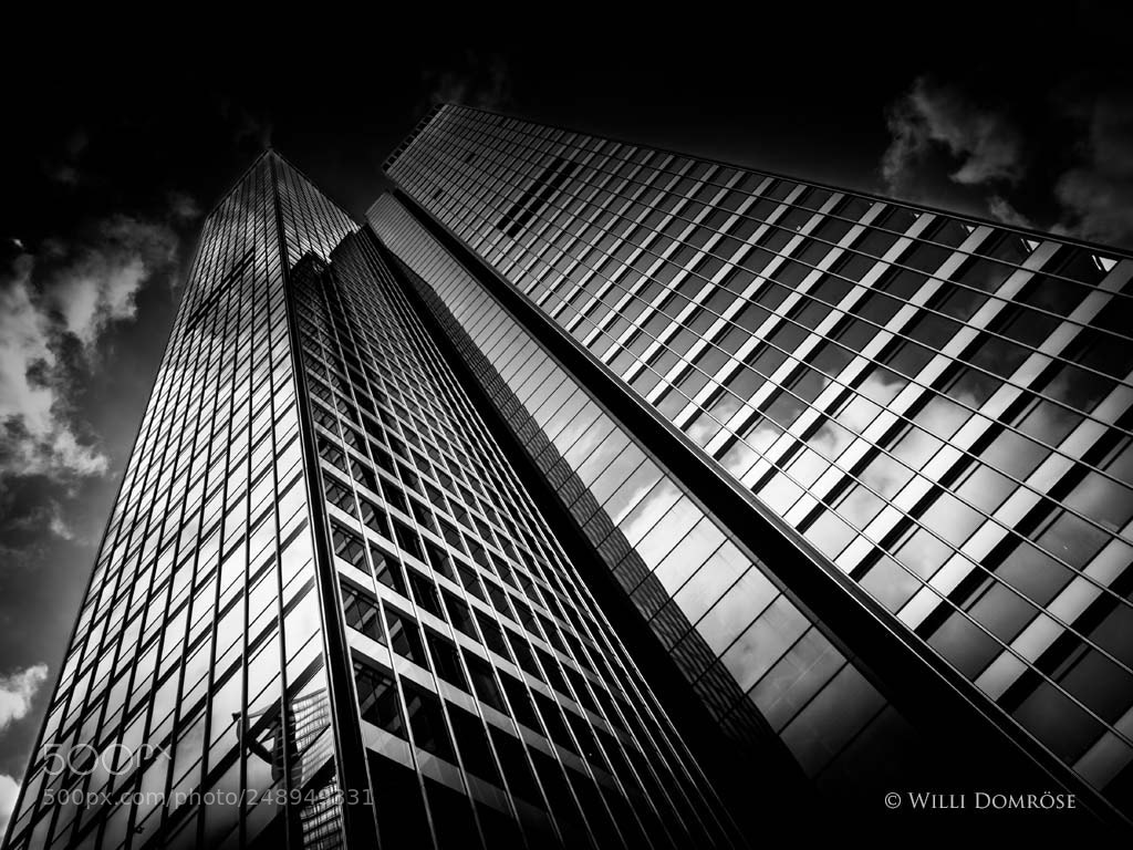 Olympus OM-D E-M1 sample photo. Upwards photography