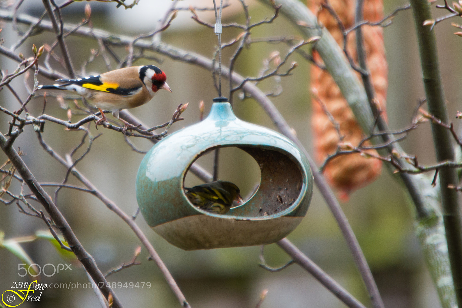 Nikon D800 sample photo. My turn? photography