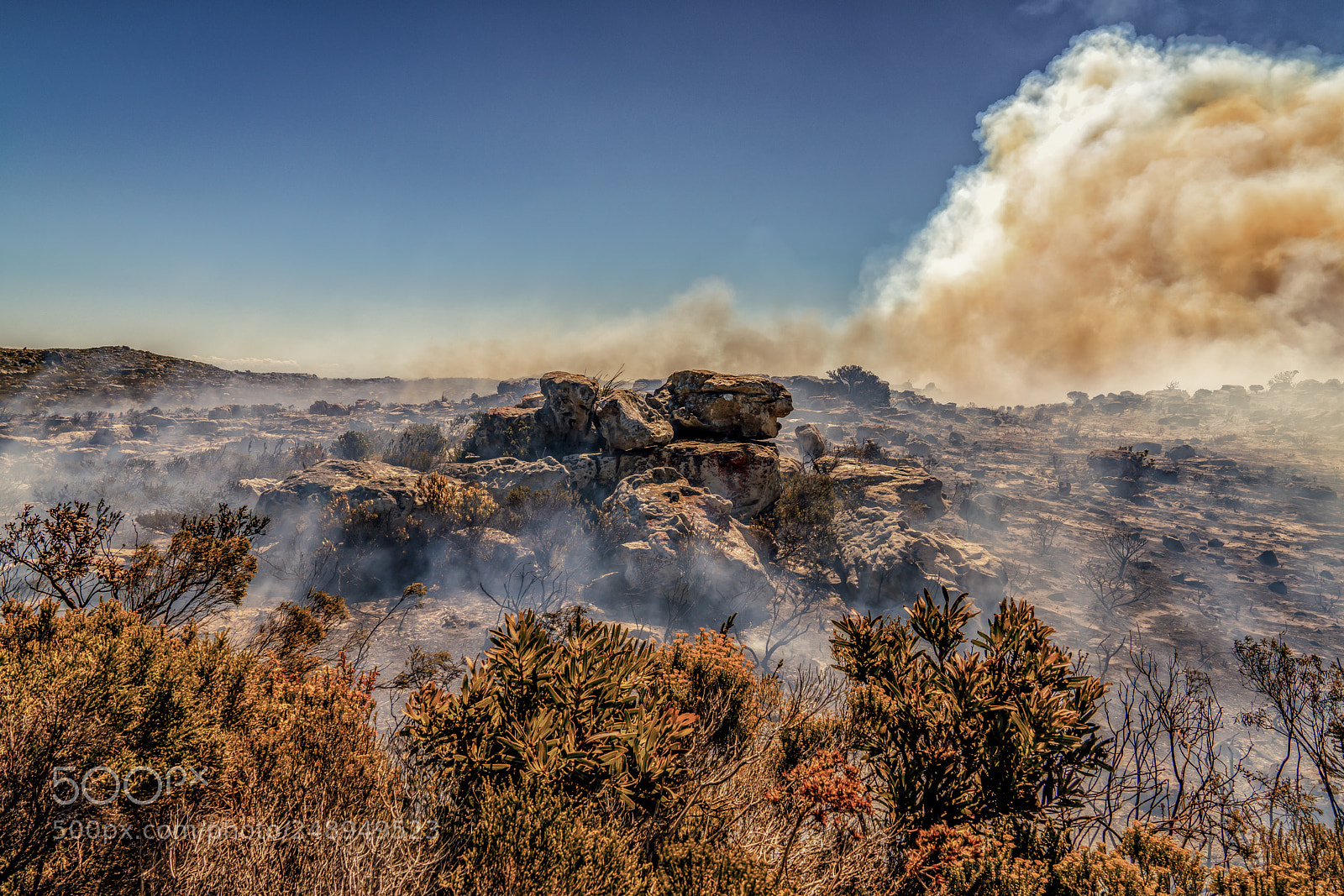 Sony a7R II sample photo. Fire photography