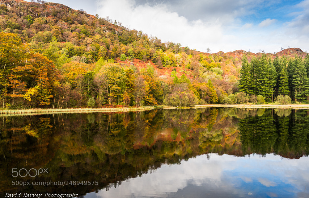 Nikon D7200 sample photo. Quiet reflections photography