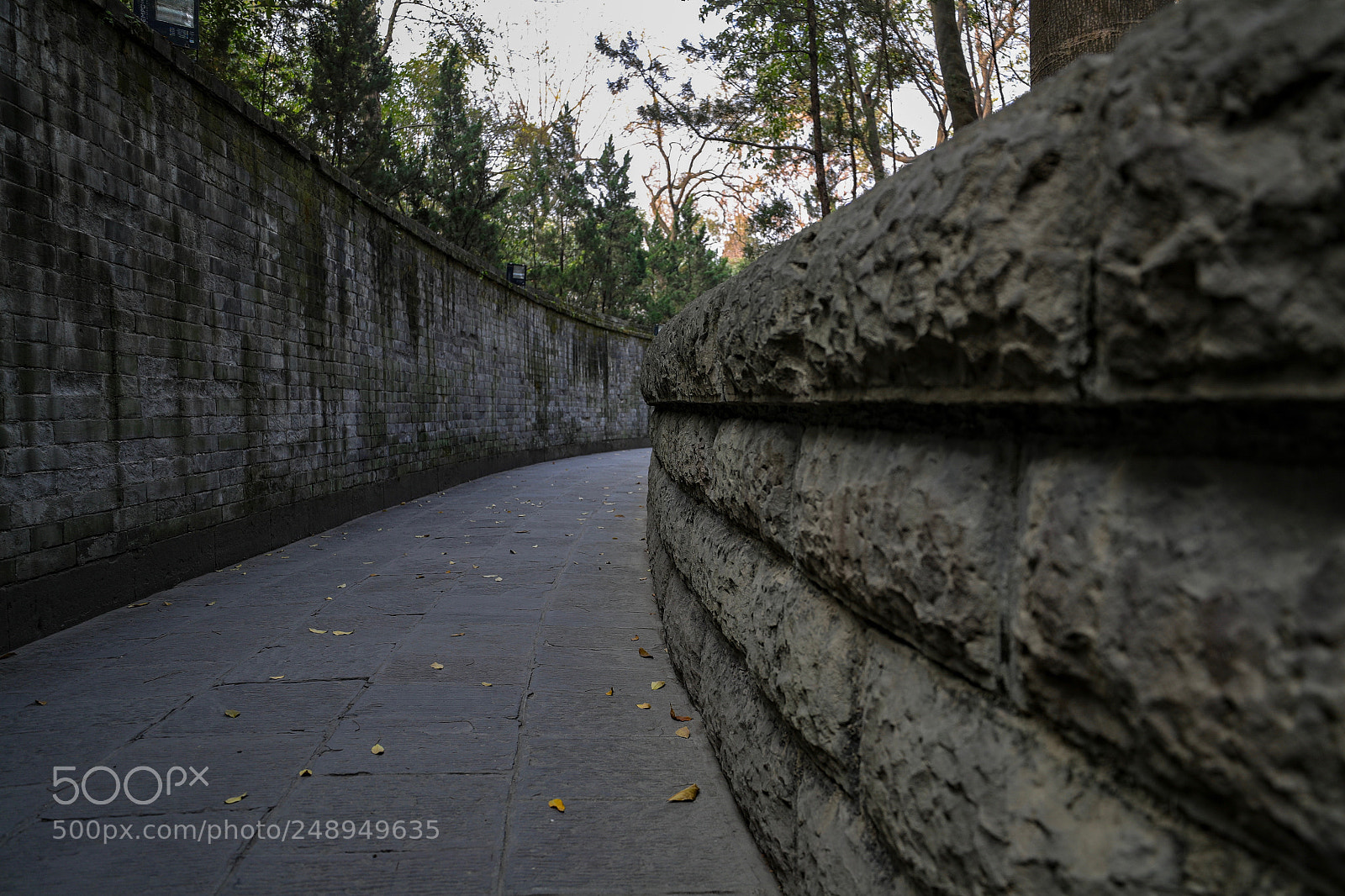 Canon EOS-1D X Mark II sample photo. Untitled photography