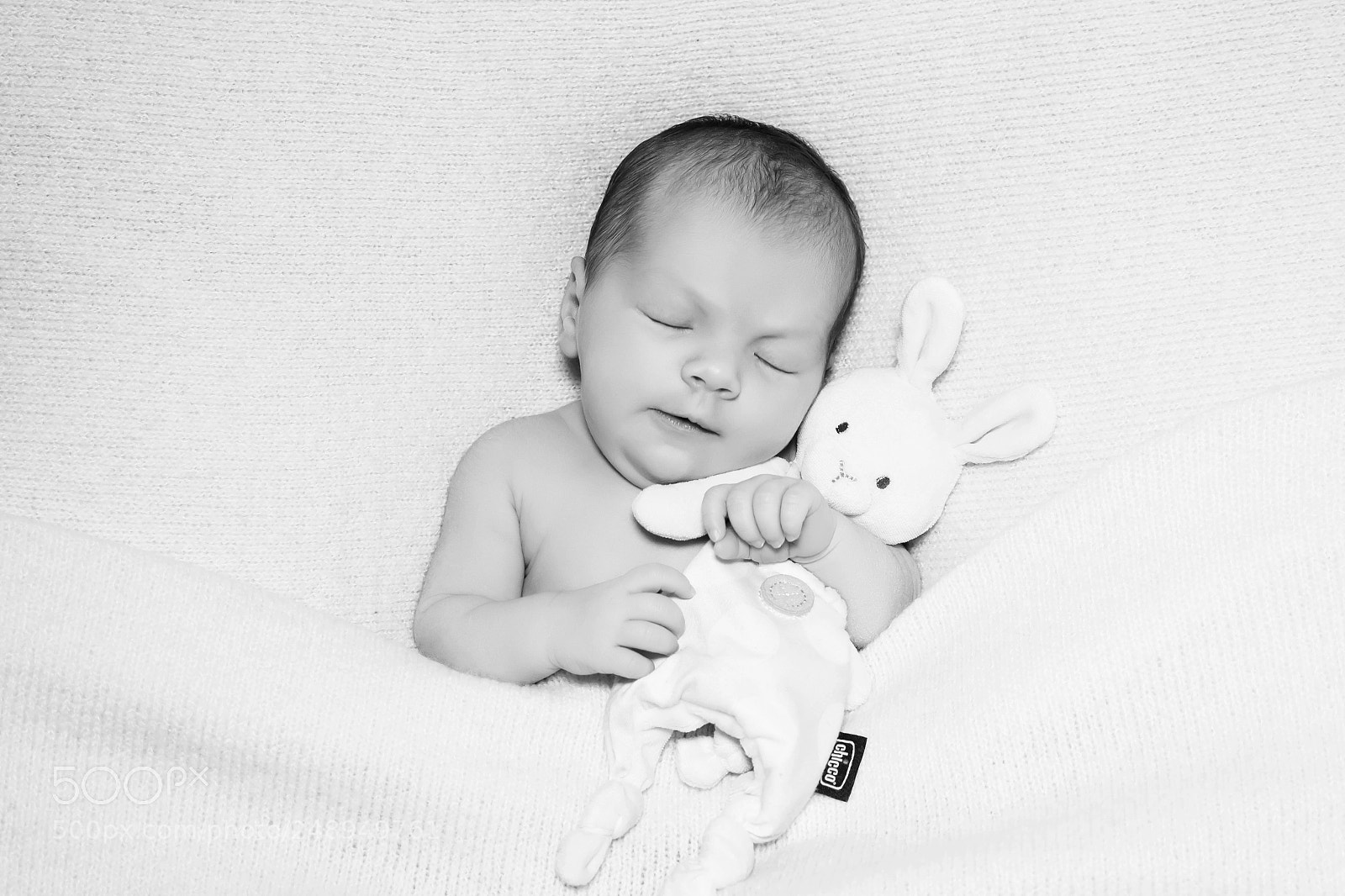 Canon EOS 60D sample photo. Camilla photography