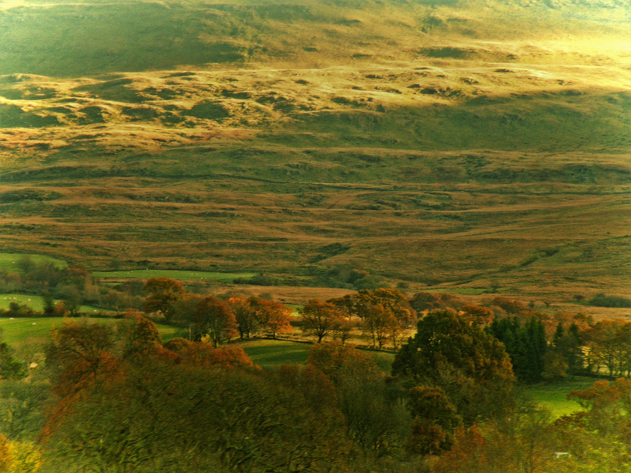 Fujifilm FinePix S8100fd sample photo. Beautiful welsh countryside photography