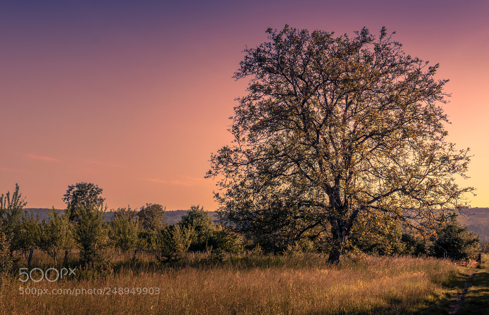 Nikon D3300 sample photo. A romanian landscape photography