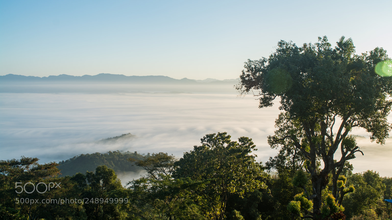Nikon D5200 sample photo. A mist-scape photography
