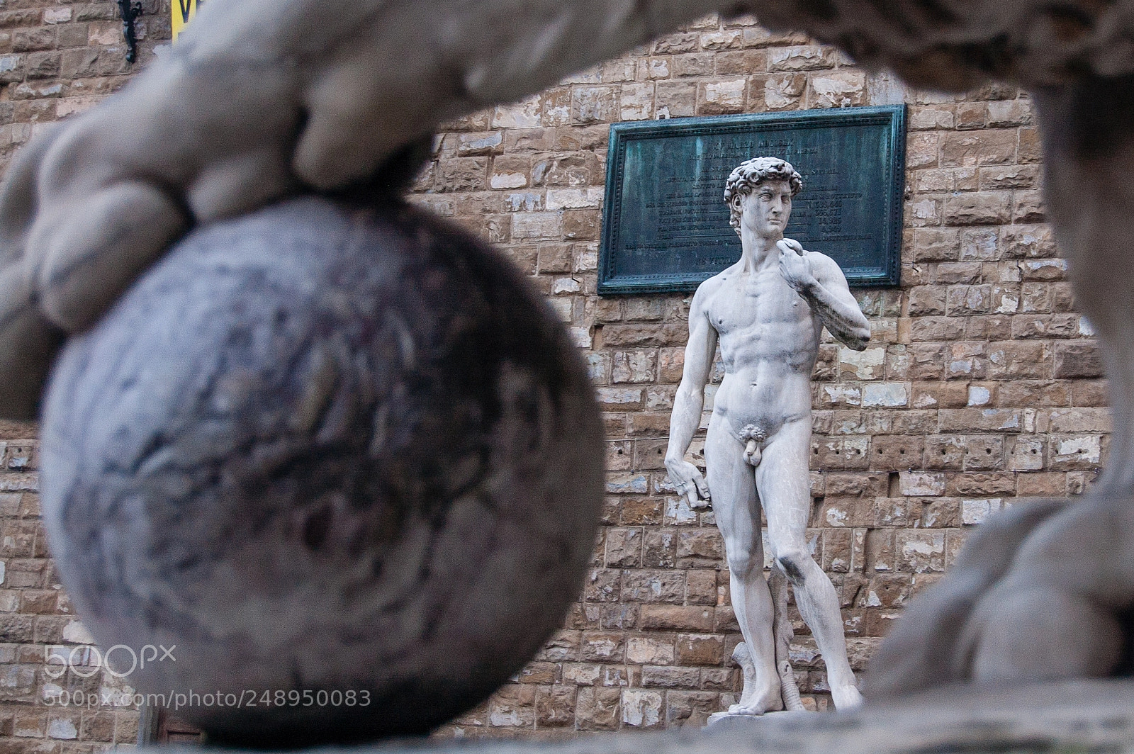 Nikon D40 sample photo. David i photography