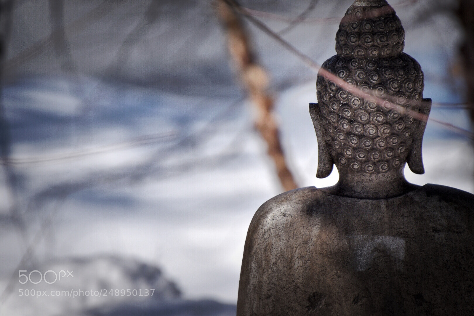 Nikon D5600 sample photo. Buddha photography