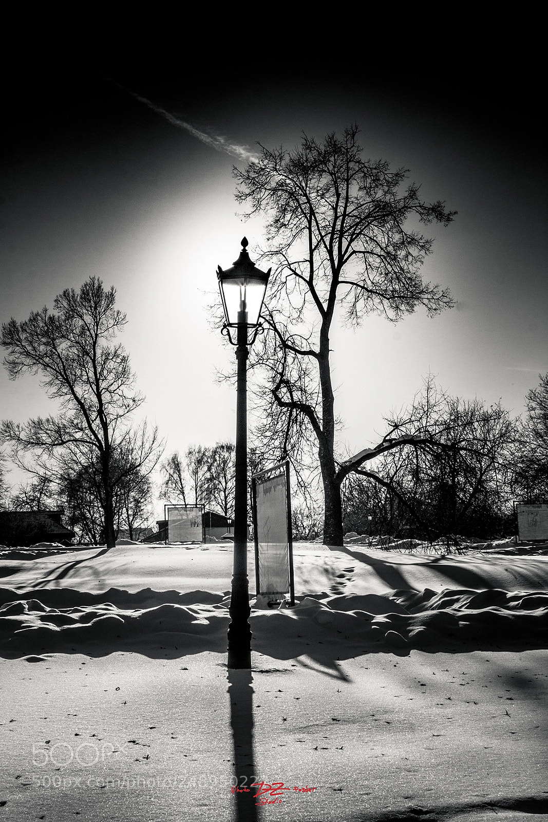 Canon EOS 50D sample photo. Winter silhouette b&w photography