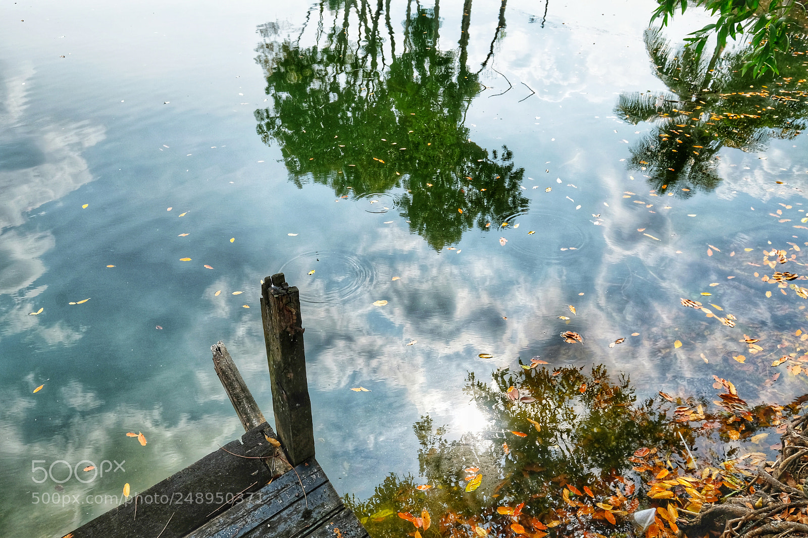 Fujifilm X-T20 sample photo. Reflection photography