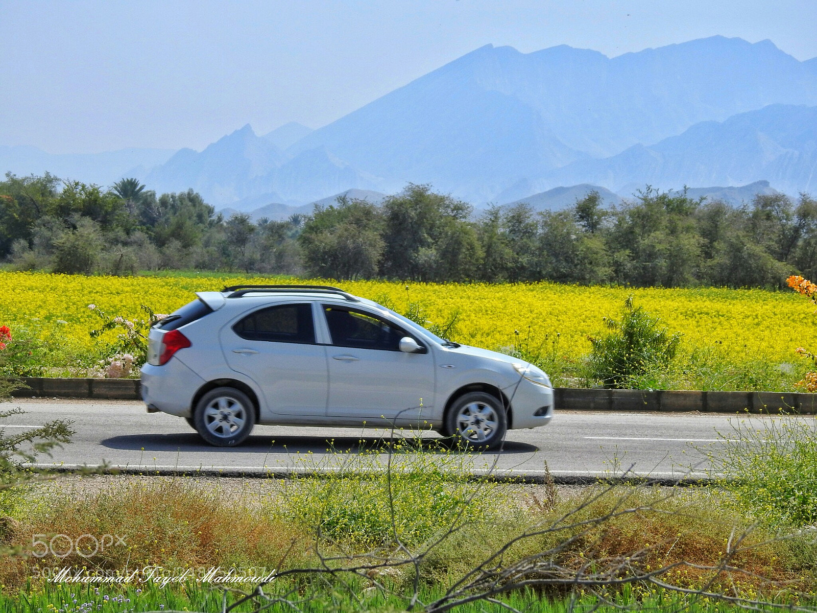 Nikon Coolpix P900 sample photo. Road photography