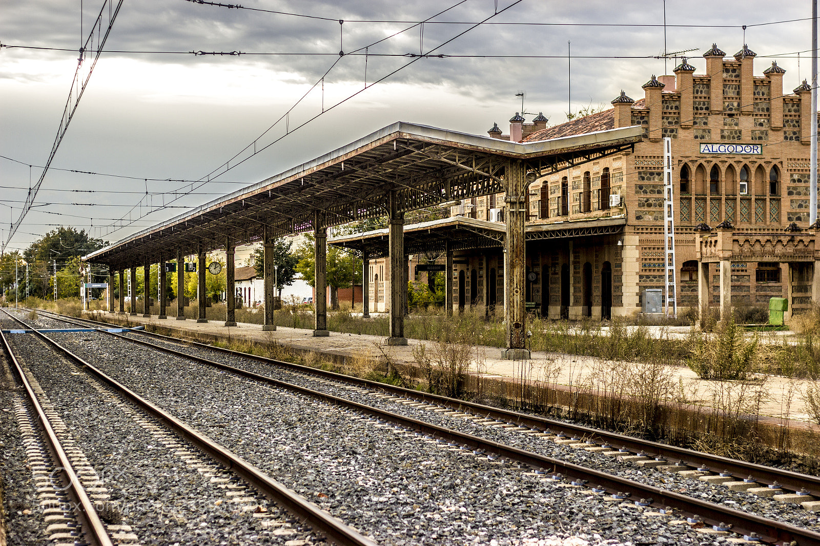 Canon EOS 550D (EOS Rebel T2i / EOS Kiss X4) sample photo. Estación de algodor photography