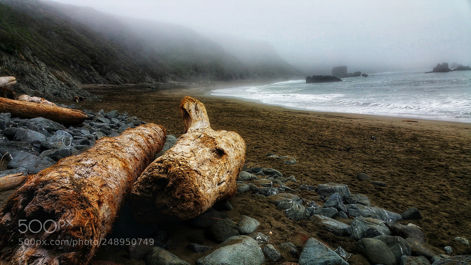 Samsung Galaxy Note4 sample photo. Into the fog photography