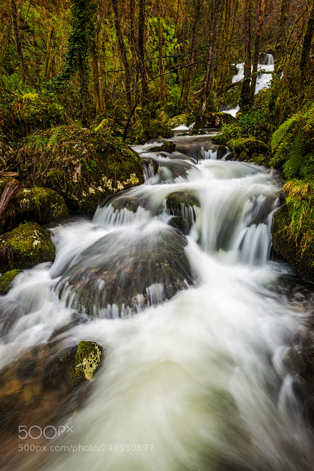 Nikon D800 sample photo. Agua y piedra photography