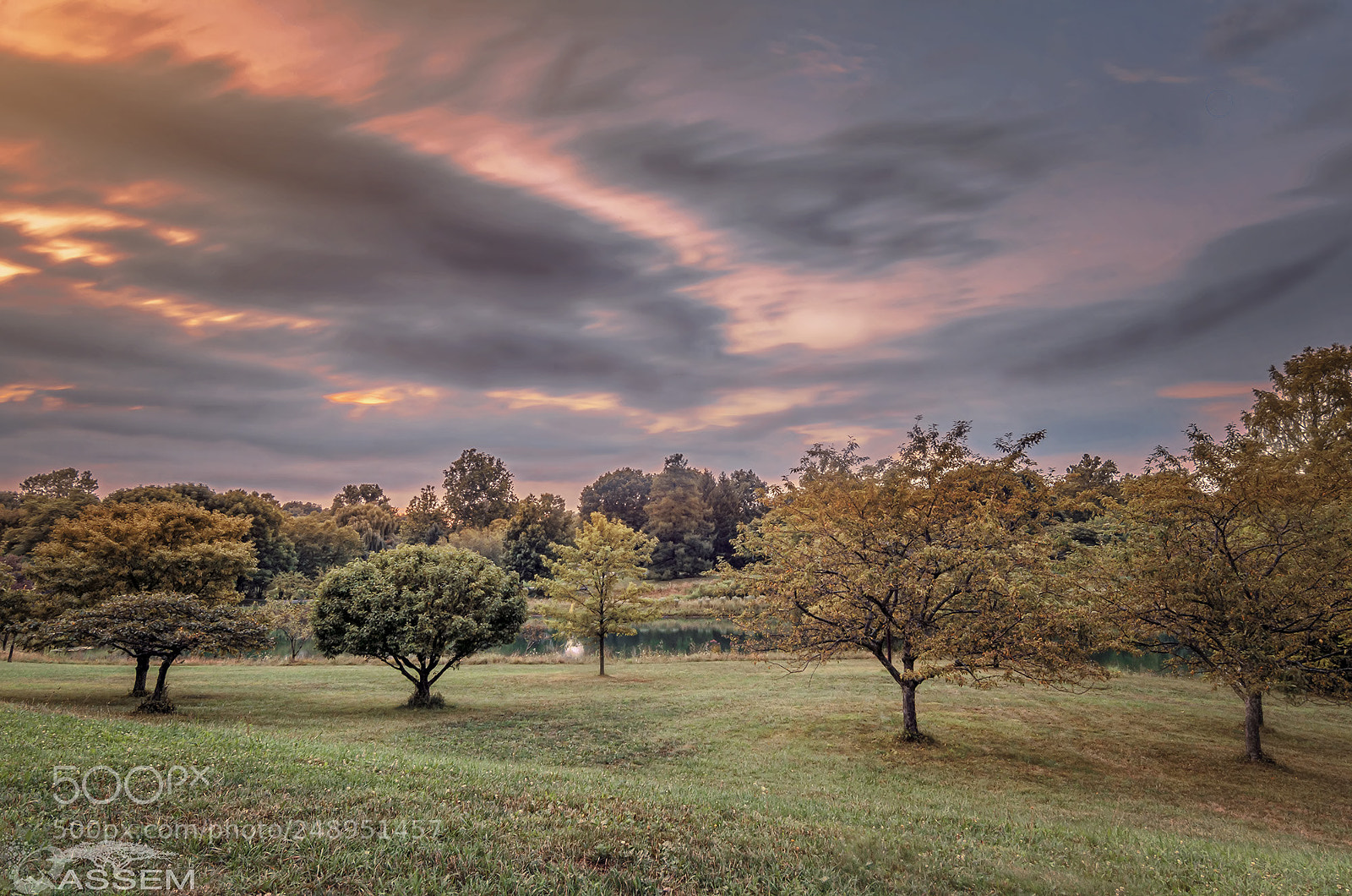 Nikon D7000 sample photo. Nature is another dream photography