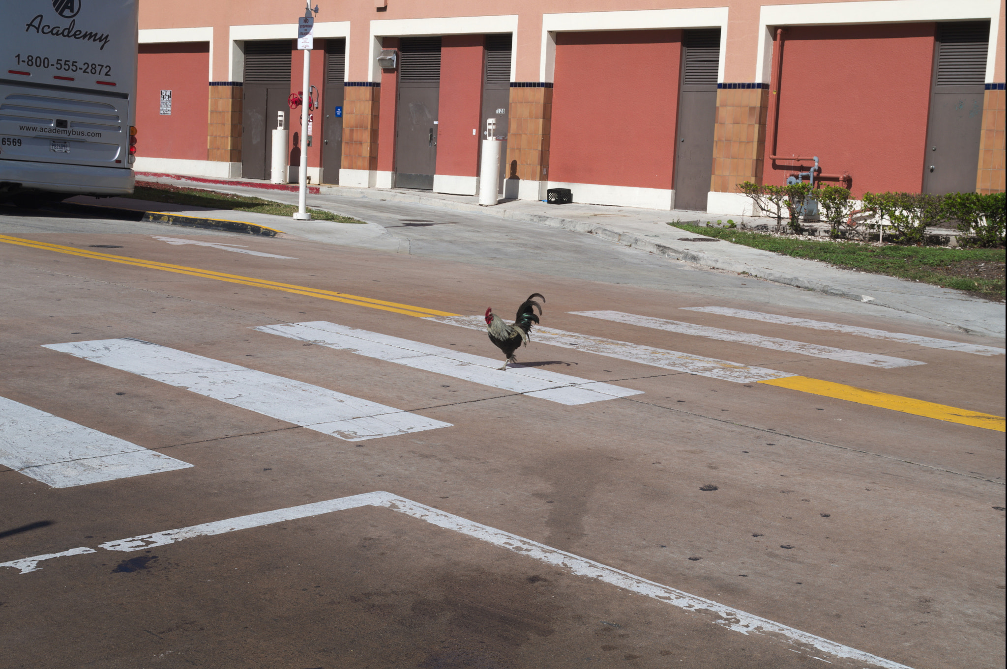 Pentax K-S2 sample photo. Really? photography