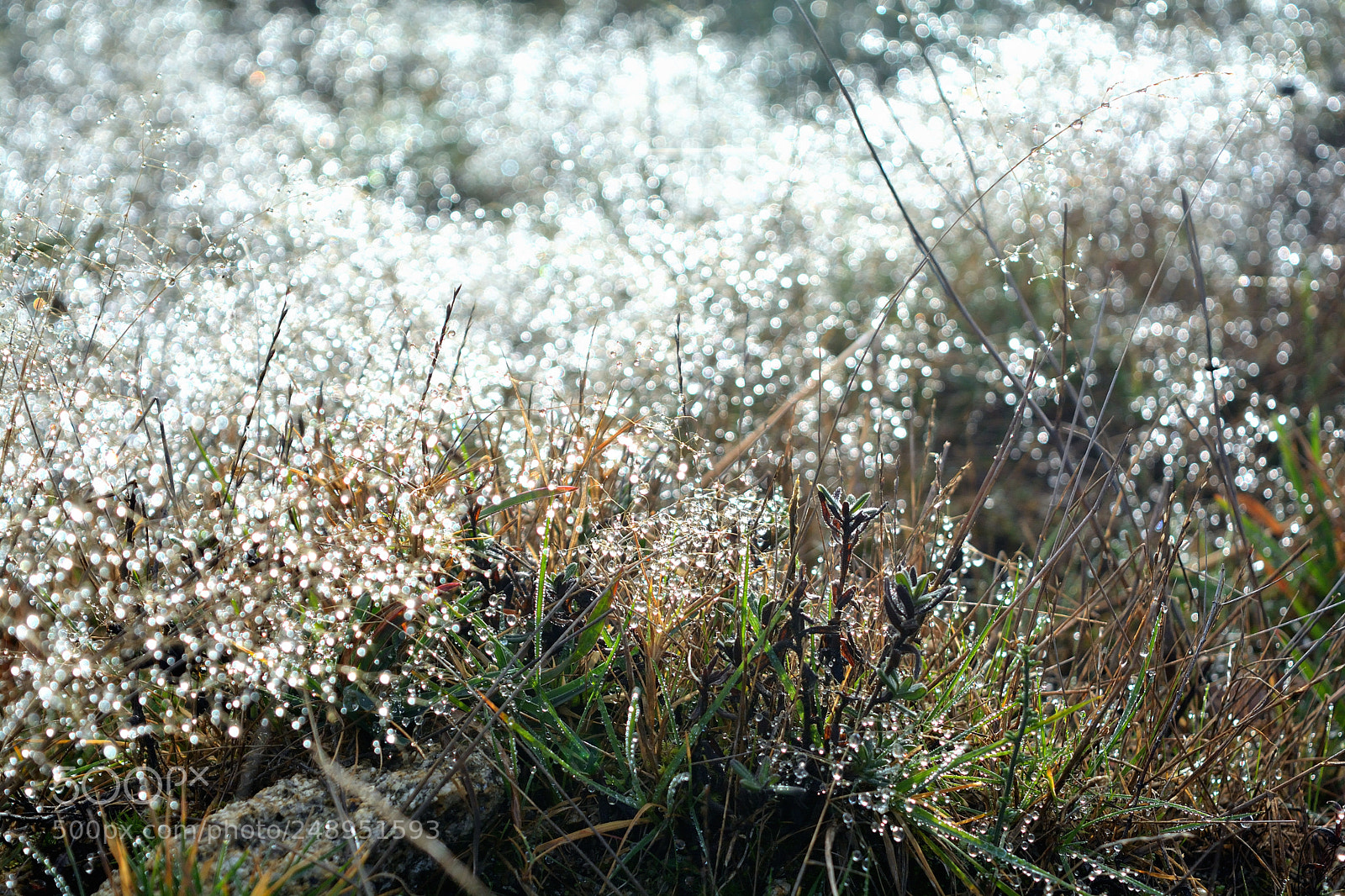 Nikon D5200 sample photo. Allariz, orense, españa photography