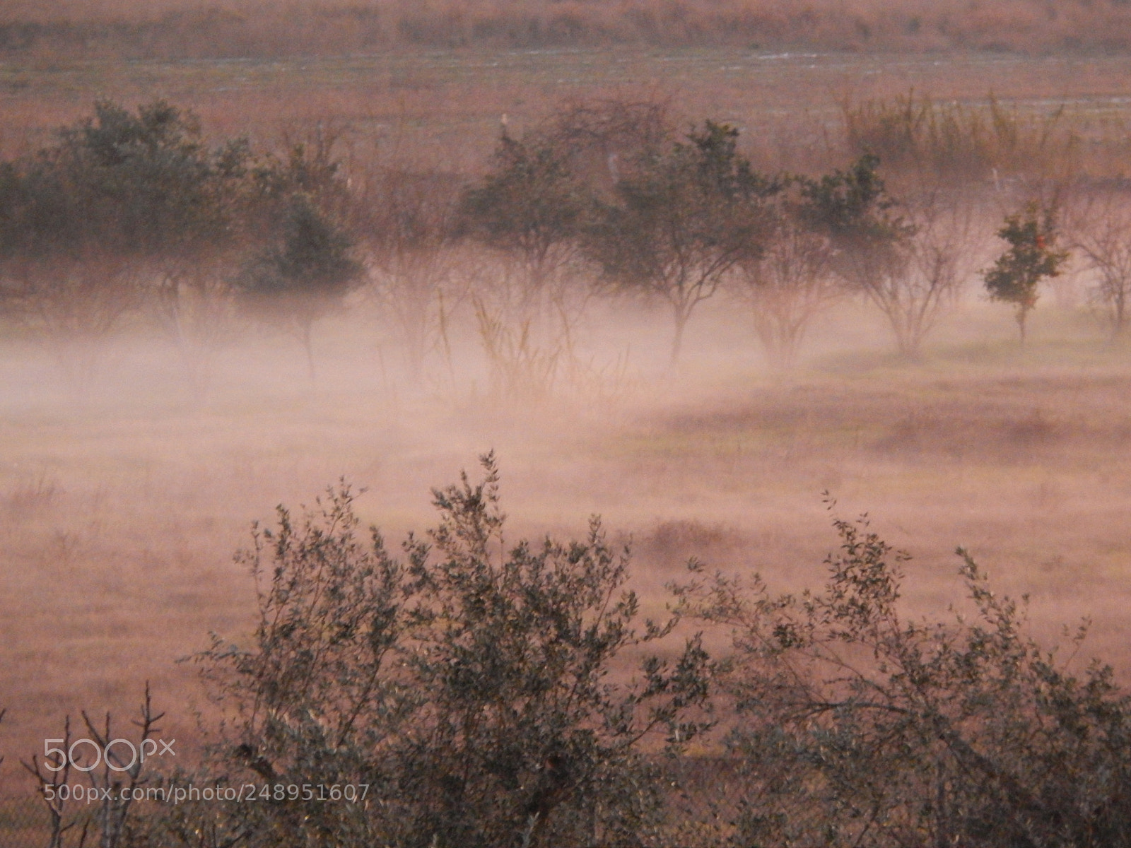 Nikon Coolpix L820 sample photo. Morning mist photography