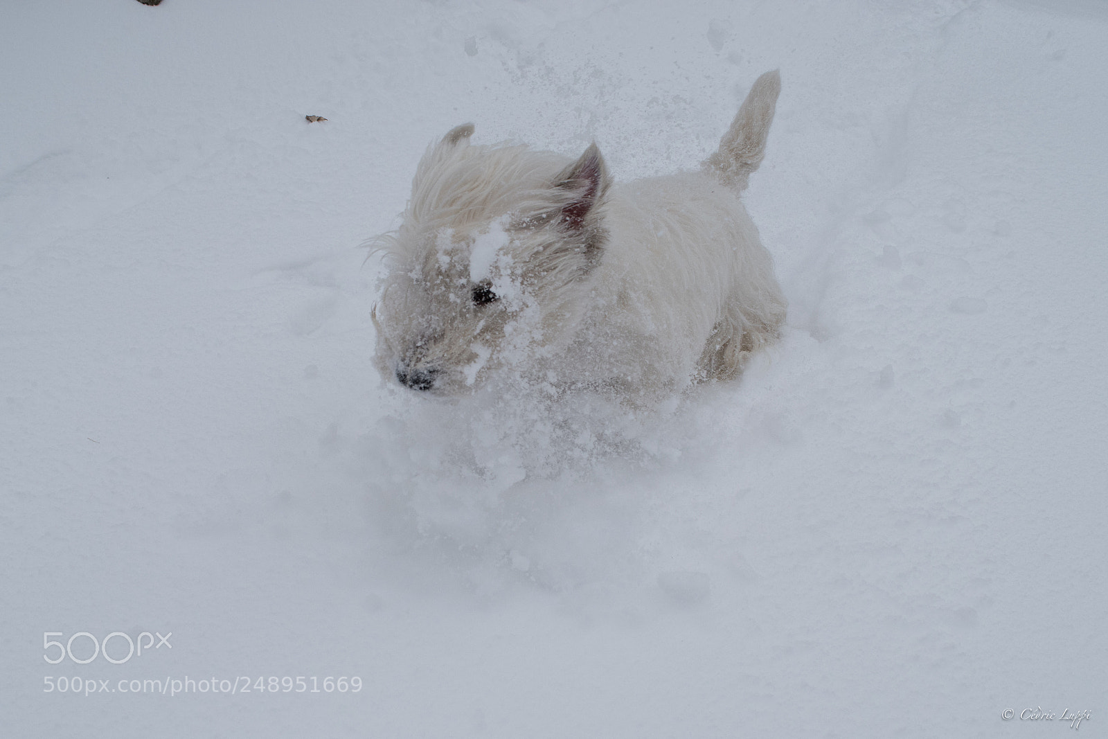 Nikon D5500 sample photo. Snow slide #4 photography
