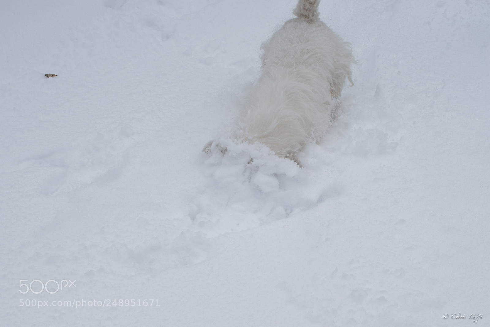 Nikon D5500 sample photo. Snow slide #3 photography