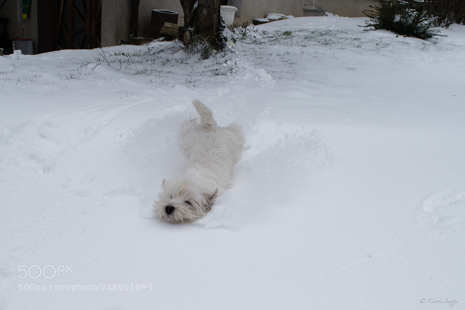 Nikon D5500 sample photo. Snow slide #2 photography