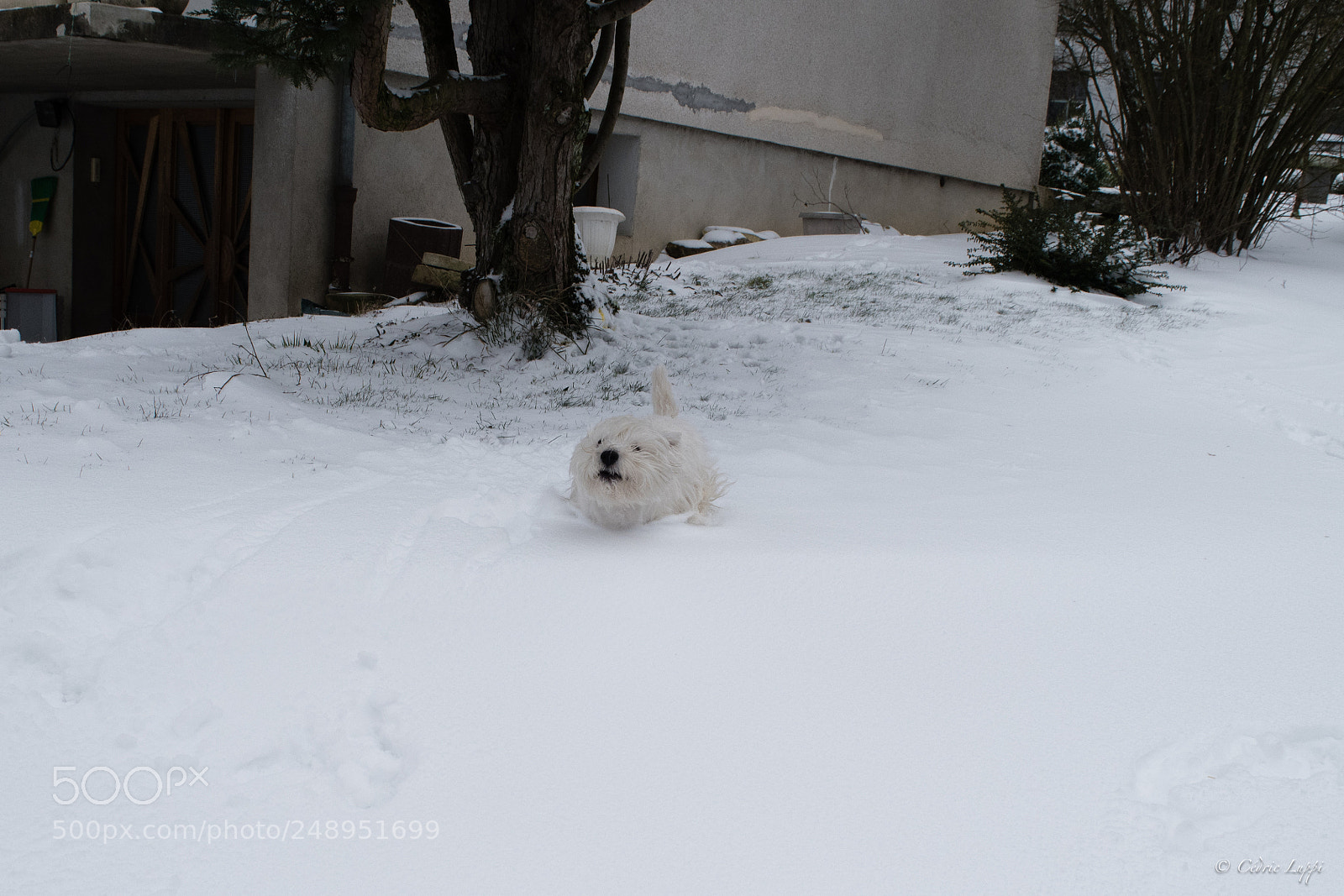 Nikon D5500 sample photo. Snow slide #1 photography