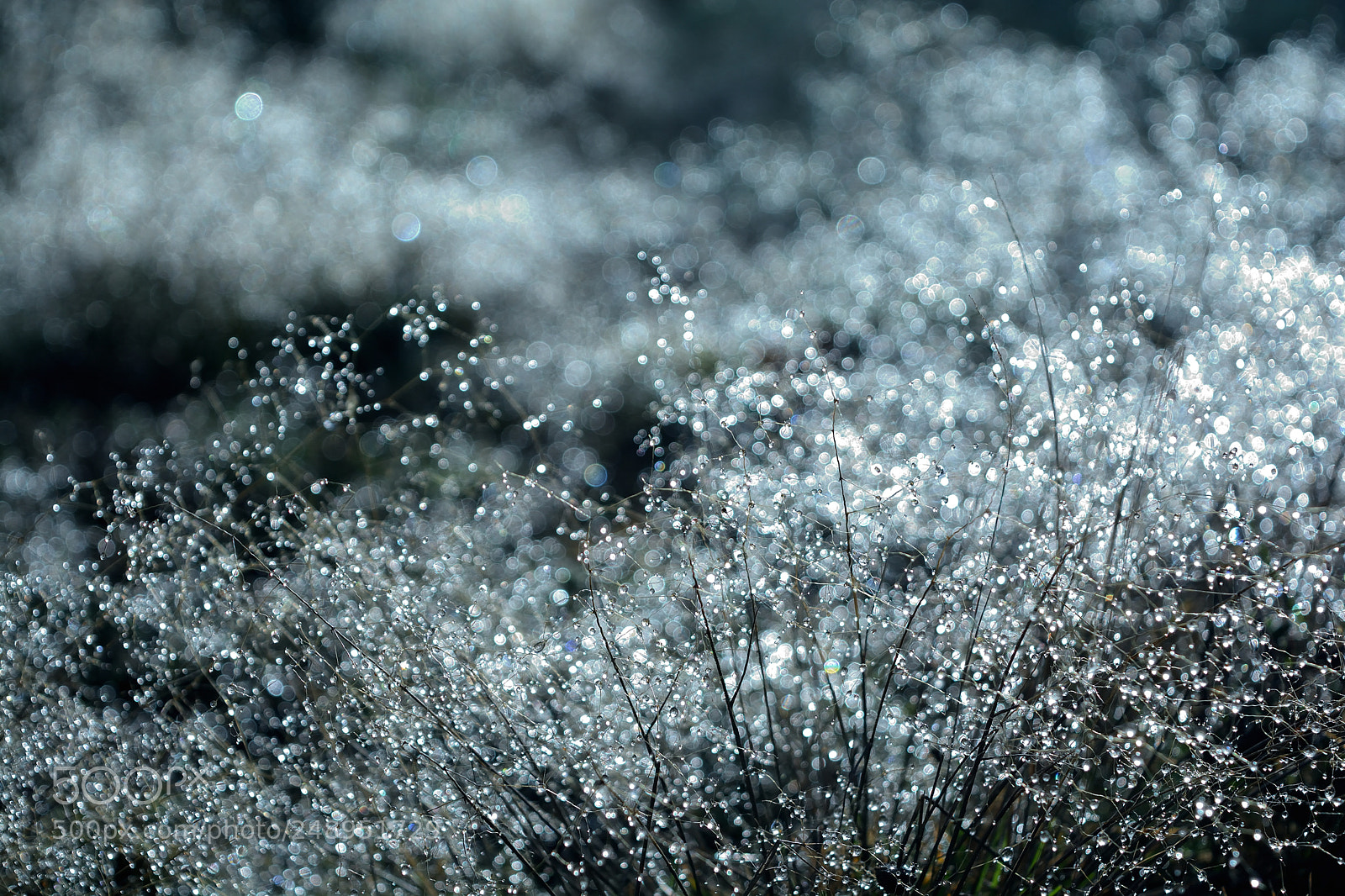 Nikon D5200 sample photo. Allariz, orense, españa photography