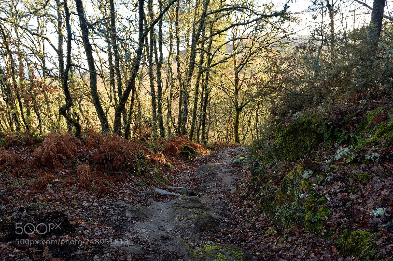 Nikon D5200 sample photo. Allariz, orense, españa photography