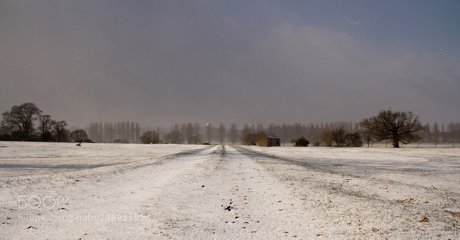 Canon EOS 7D sample photo. Winter farm photography