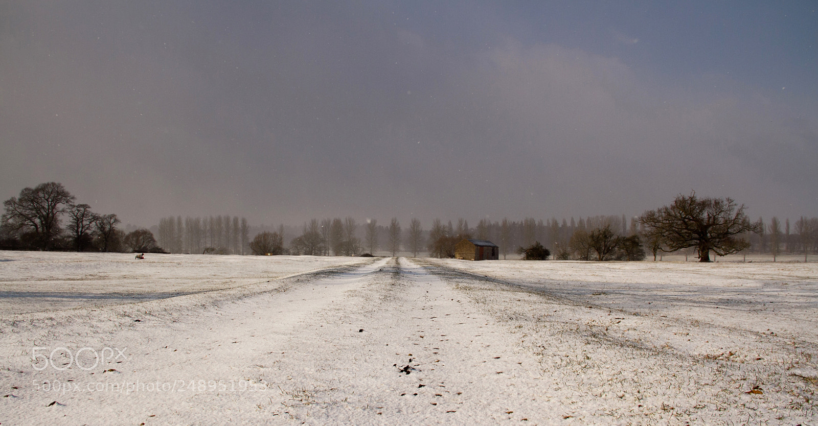 Canon EOS 7D sample photo. Winter farm photography
