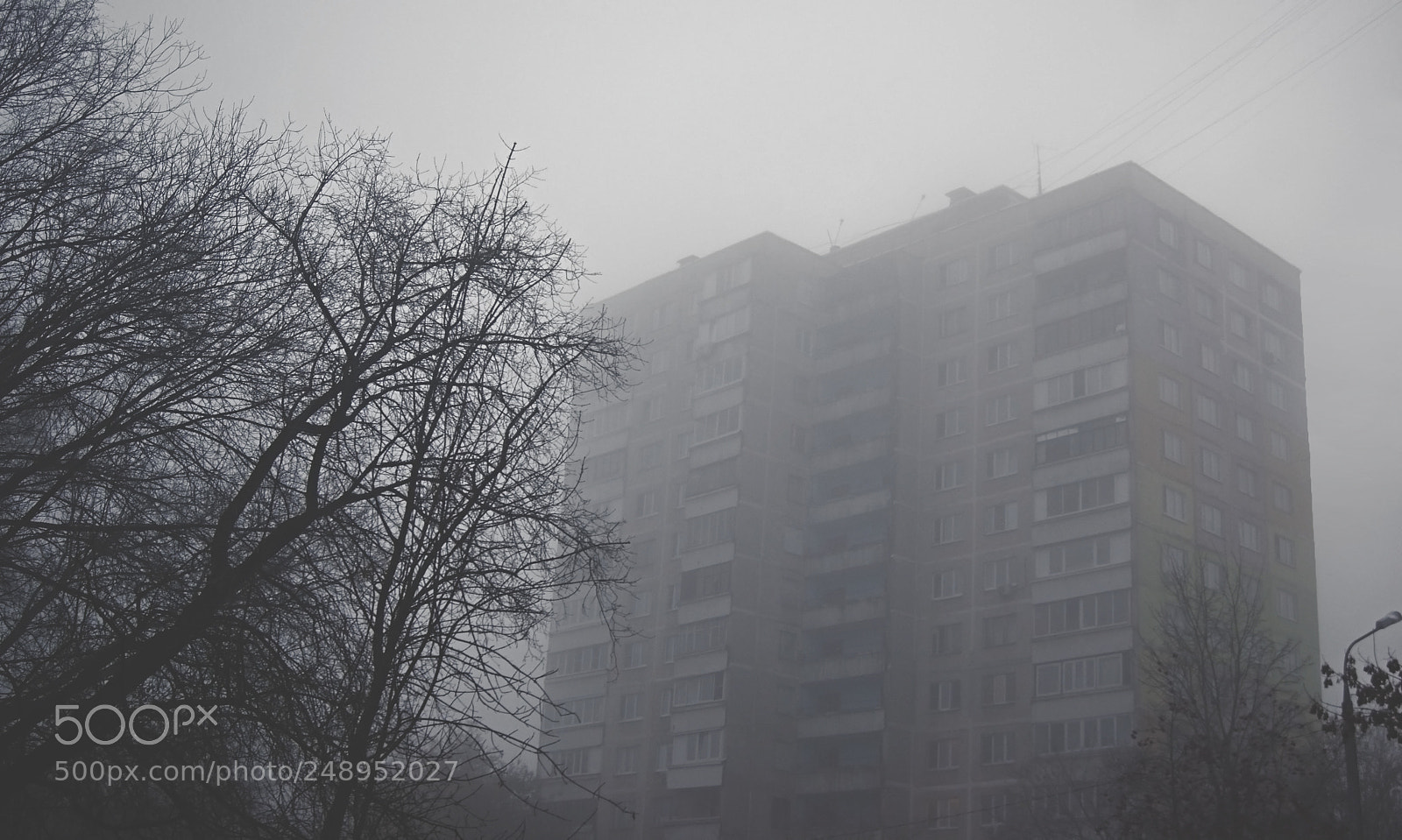 Sony Alpha DSLR-A290 sample photo. Fog photography