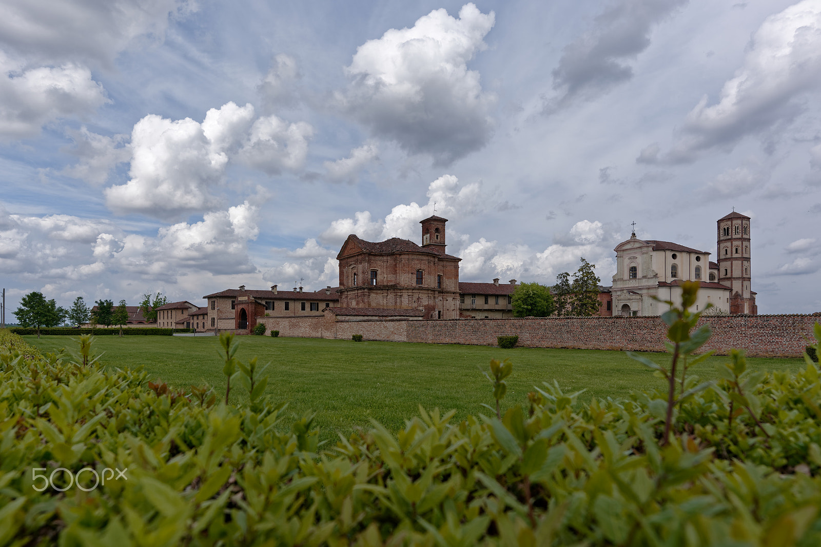 Nikon AF-S Nikkor 14-24mm F2.8G ED sample photo. Behind the hedge photography