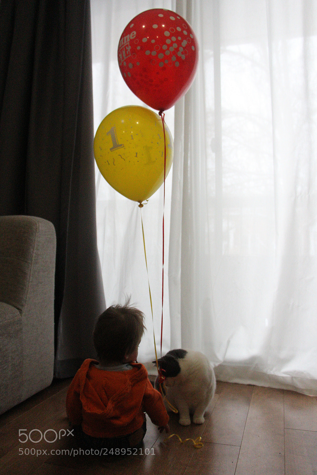 Canon EOS 700D (EOS Rebel T5i / EOS Kiss X7i) sample photo. Img photography
