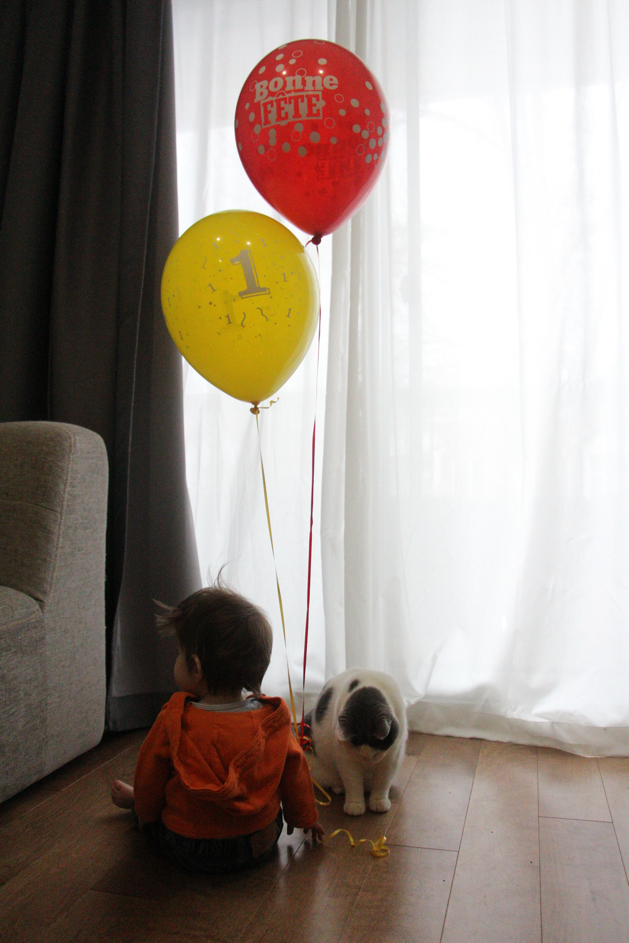 Canon EOS 700D (EOS Rebel T5i / EOS Kiss X7i) sample photo. Img photography