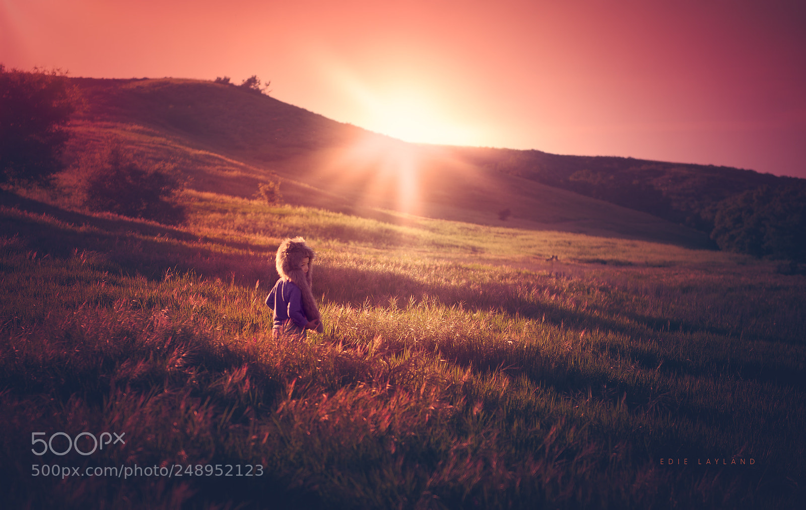 Nikon D800 sample photo. Wolf boy at sunset photography