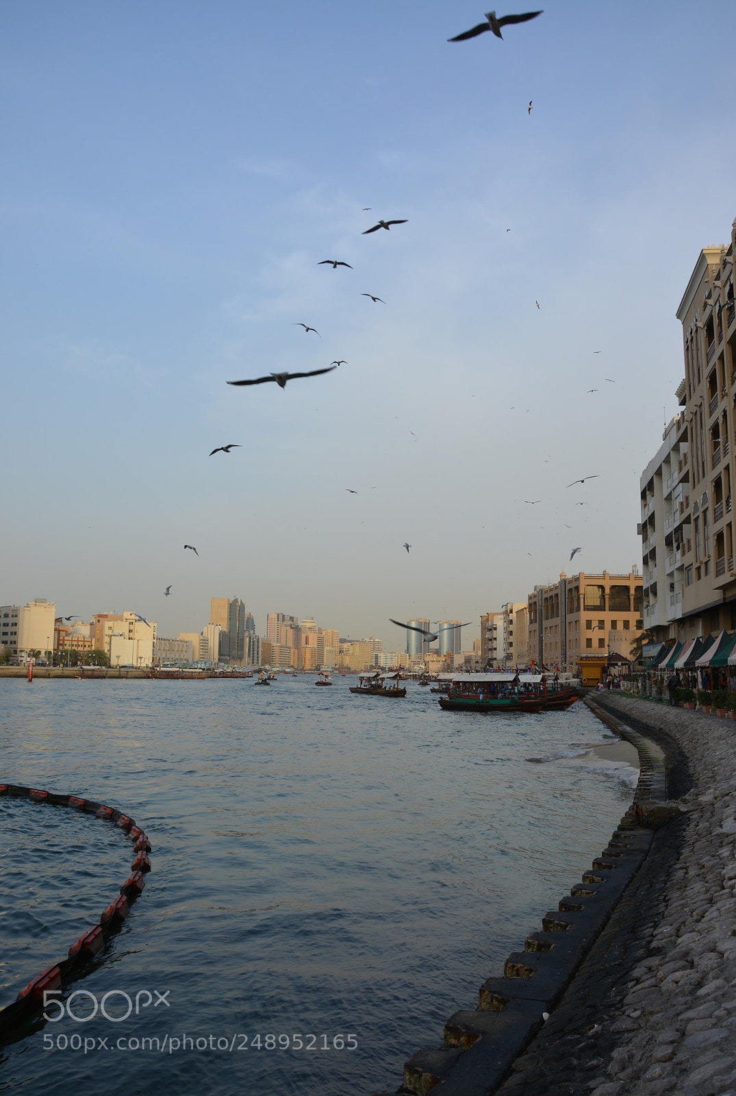 Nikon D5200 sample photo. Dubai photography