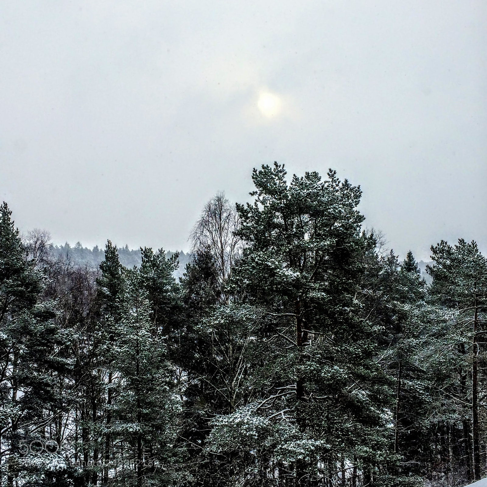 Apple iPhone 5s sample photo. Pale winter sun photography