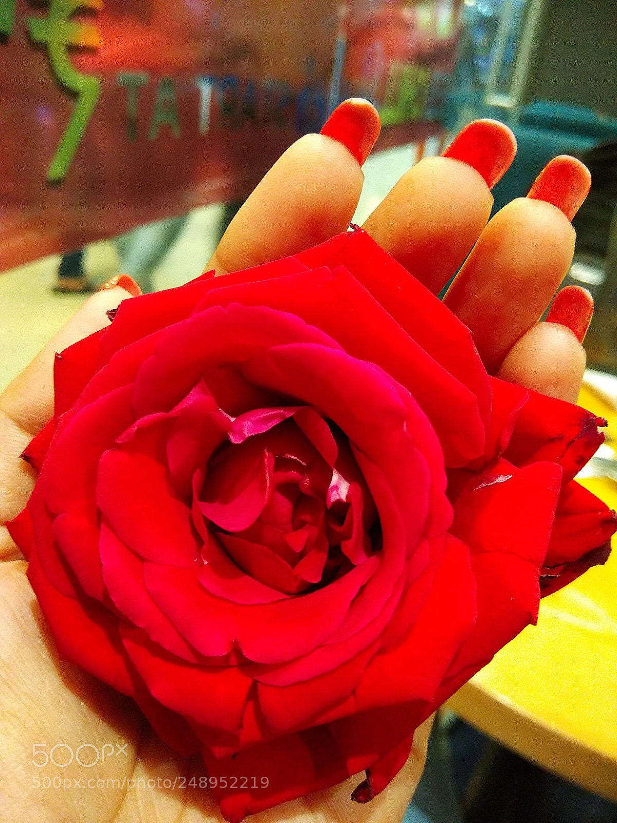 Xiaomi Redmi Note 4 sample photo. Bright red!! photography