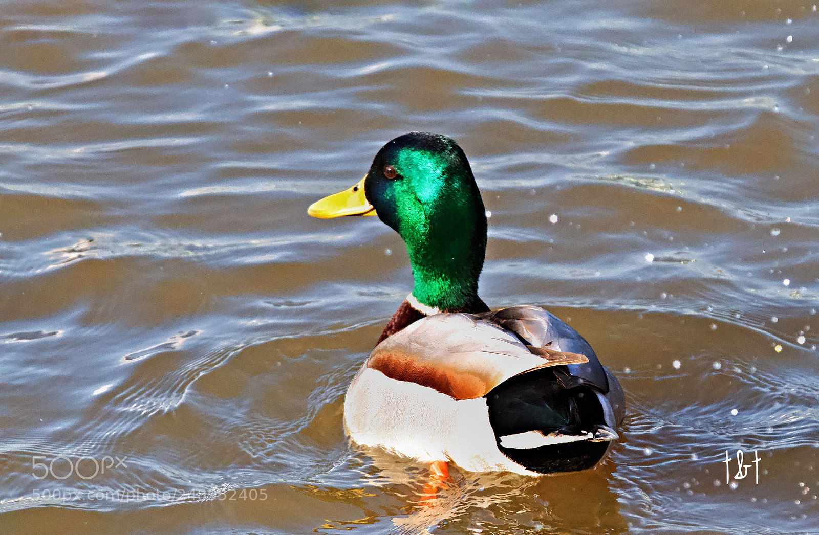 Canon EOS 7D sample photo. Untitled photography