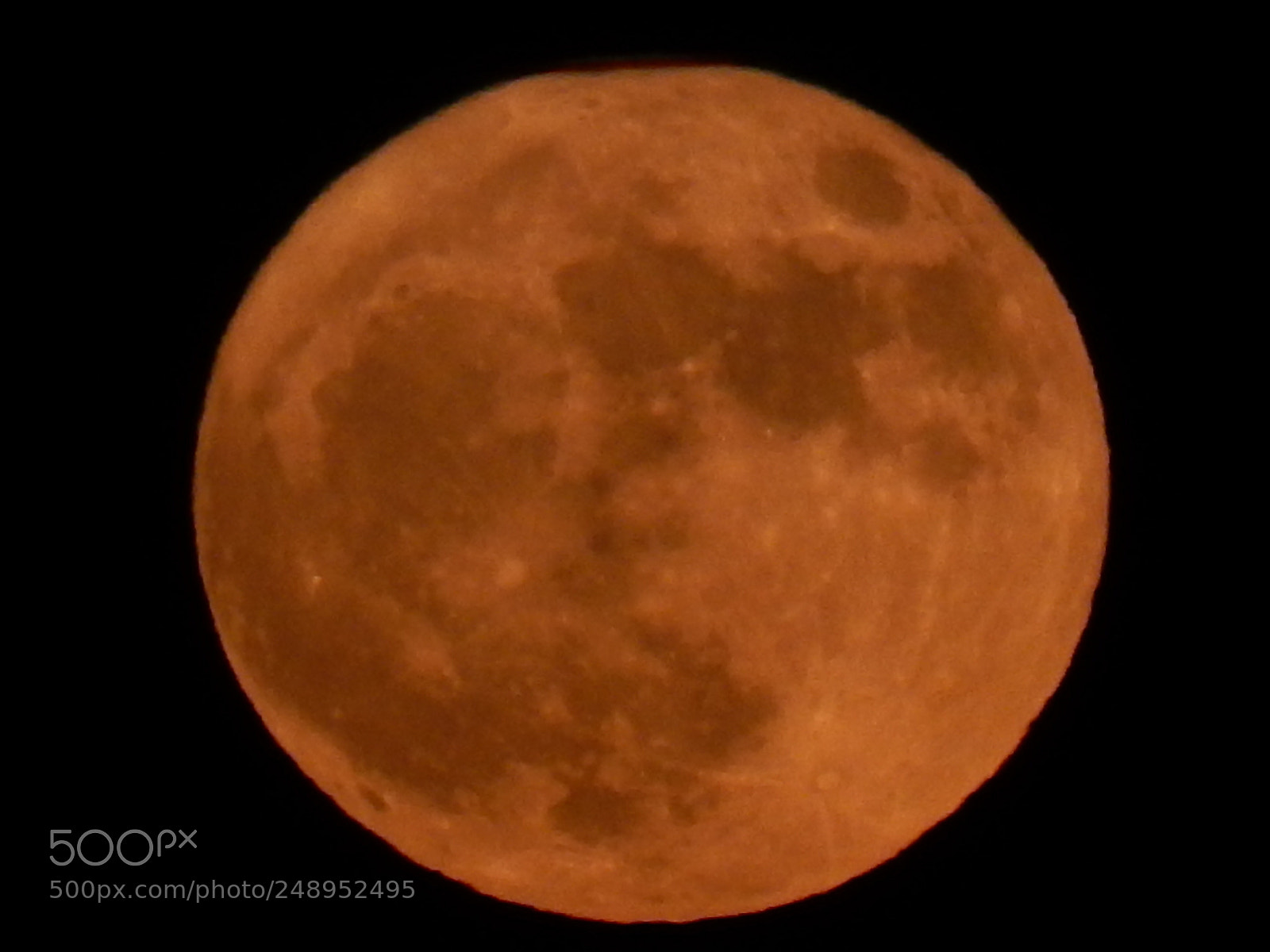 Nikon Coolpix L820 sample photo. August full moon photography