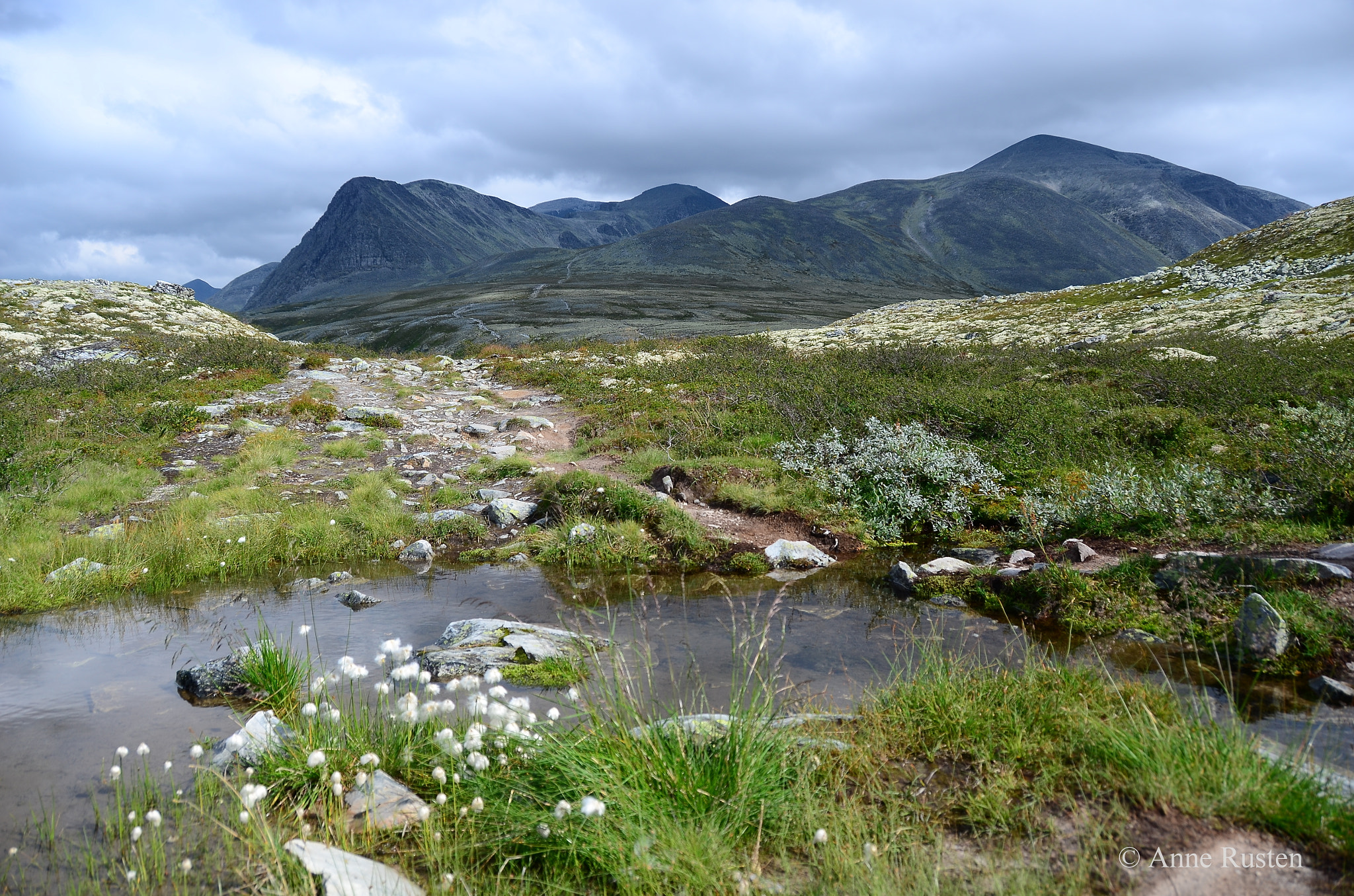 Nikon D7000 sample photo. Å little pond photography