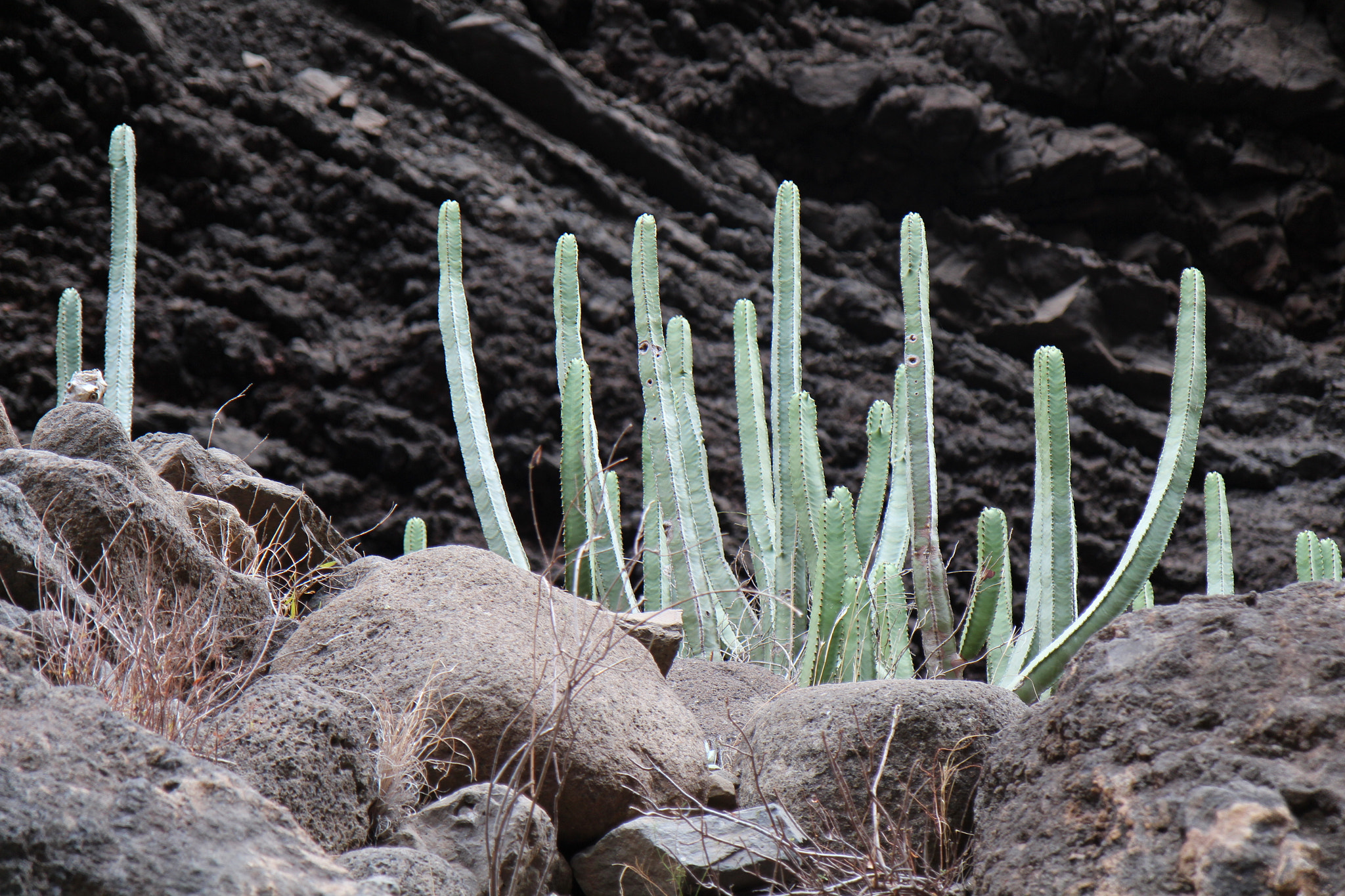 Canon EF-S 17-55mm F2.8 IS USM sample photo. The canyon of masca, teneriffa photography