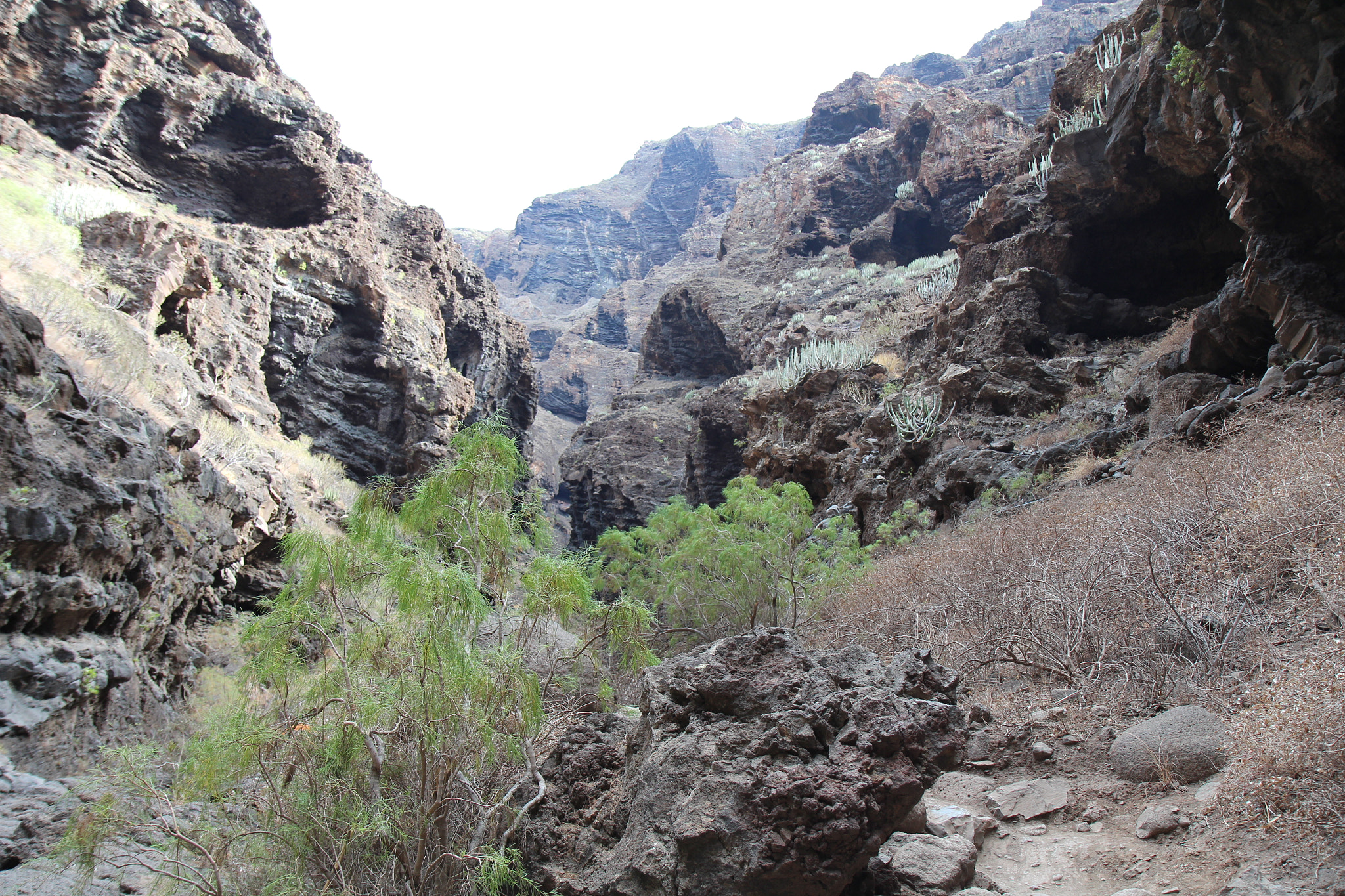 Canon EF-S 17-55mm F2.8 IS USM sample photo. The canyon of masca, teneriffa photography