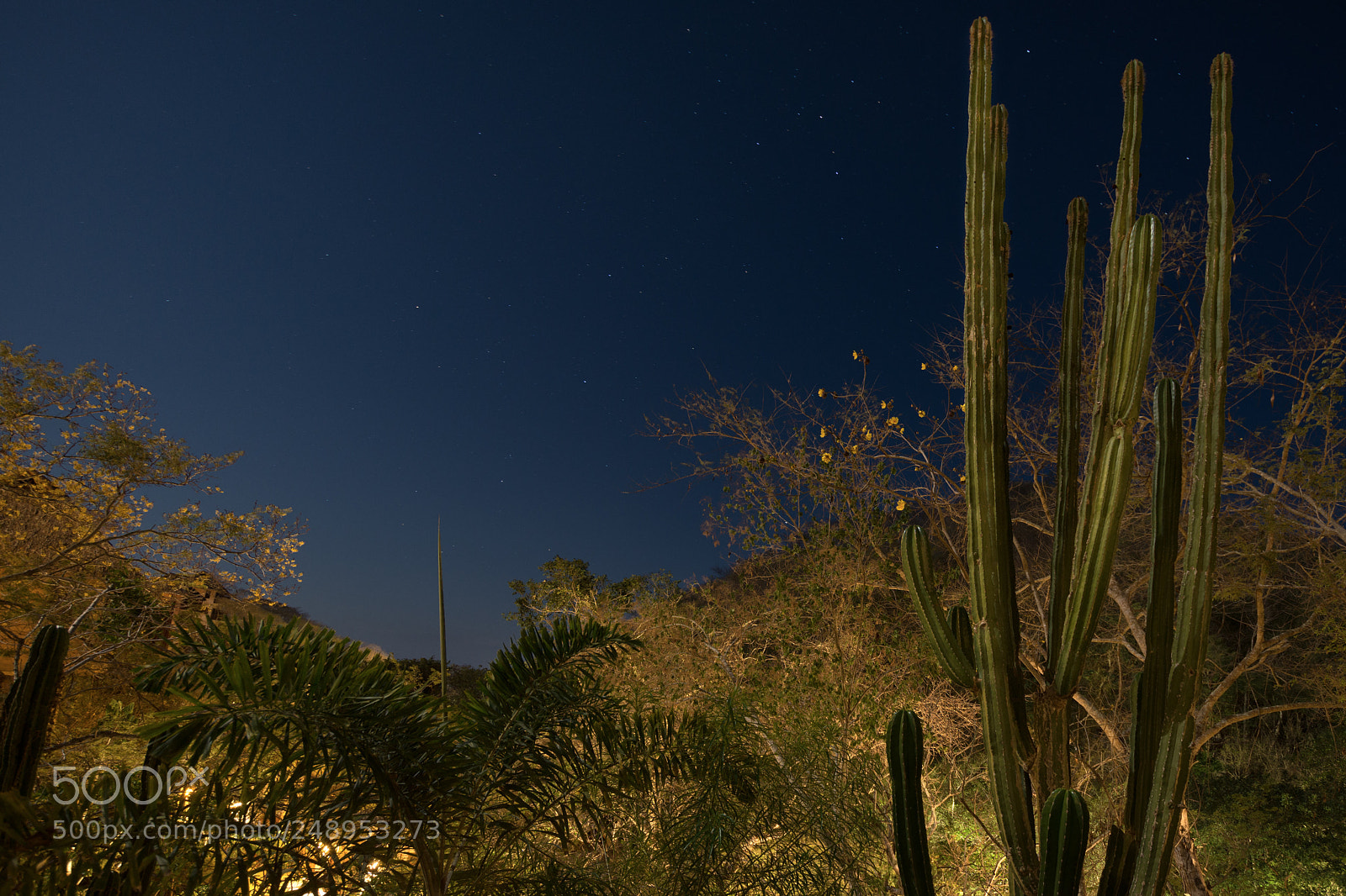 Nikon D7200 sample photo. Under a mexican moon photography