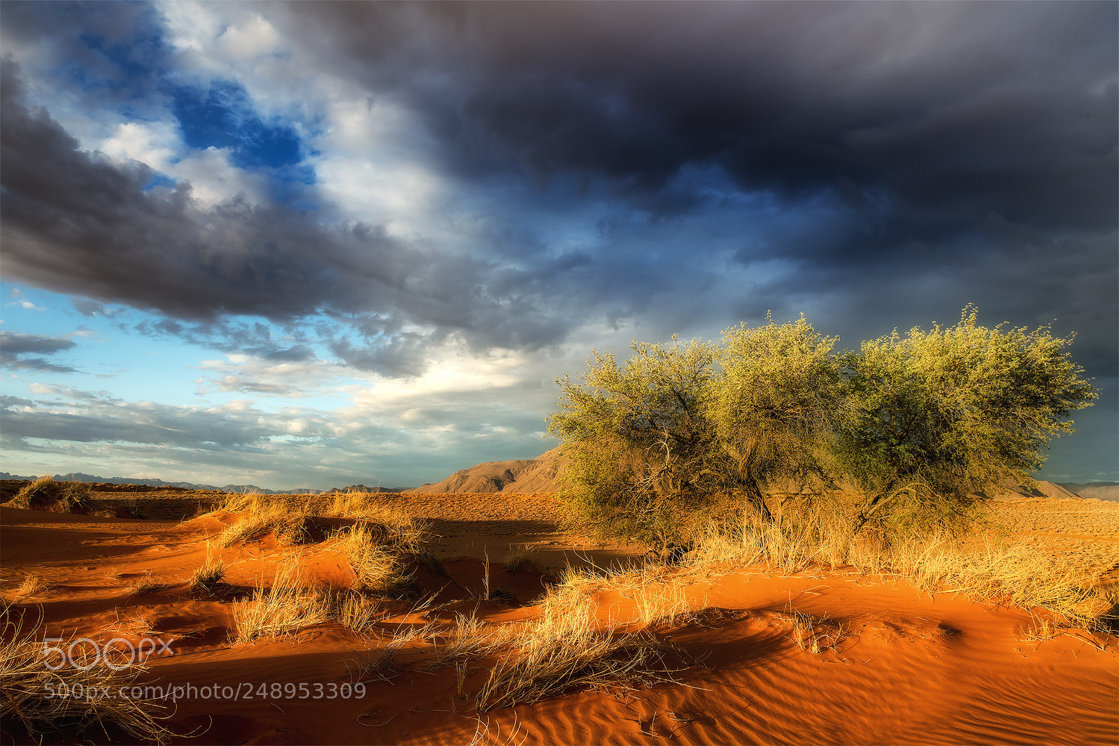 Canon EOS 5D Mark IV sample photo. Storm over the namib photography