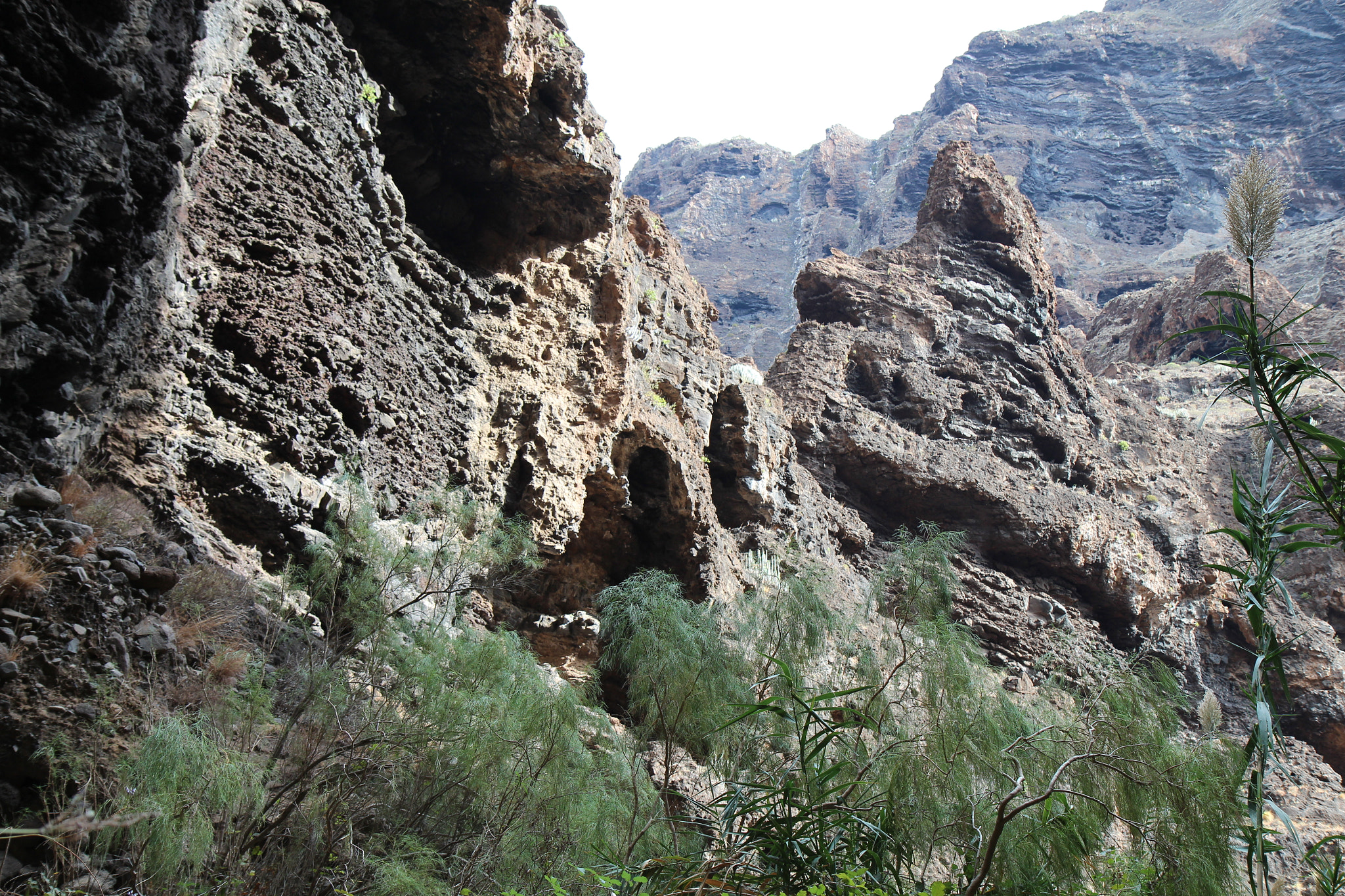Canon EF-S 17-55mm F2.8 IS USM sample photo. The canyon of masca, teneriffa photography