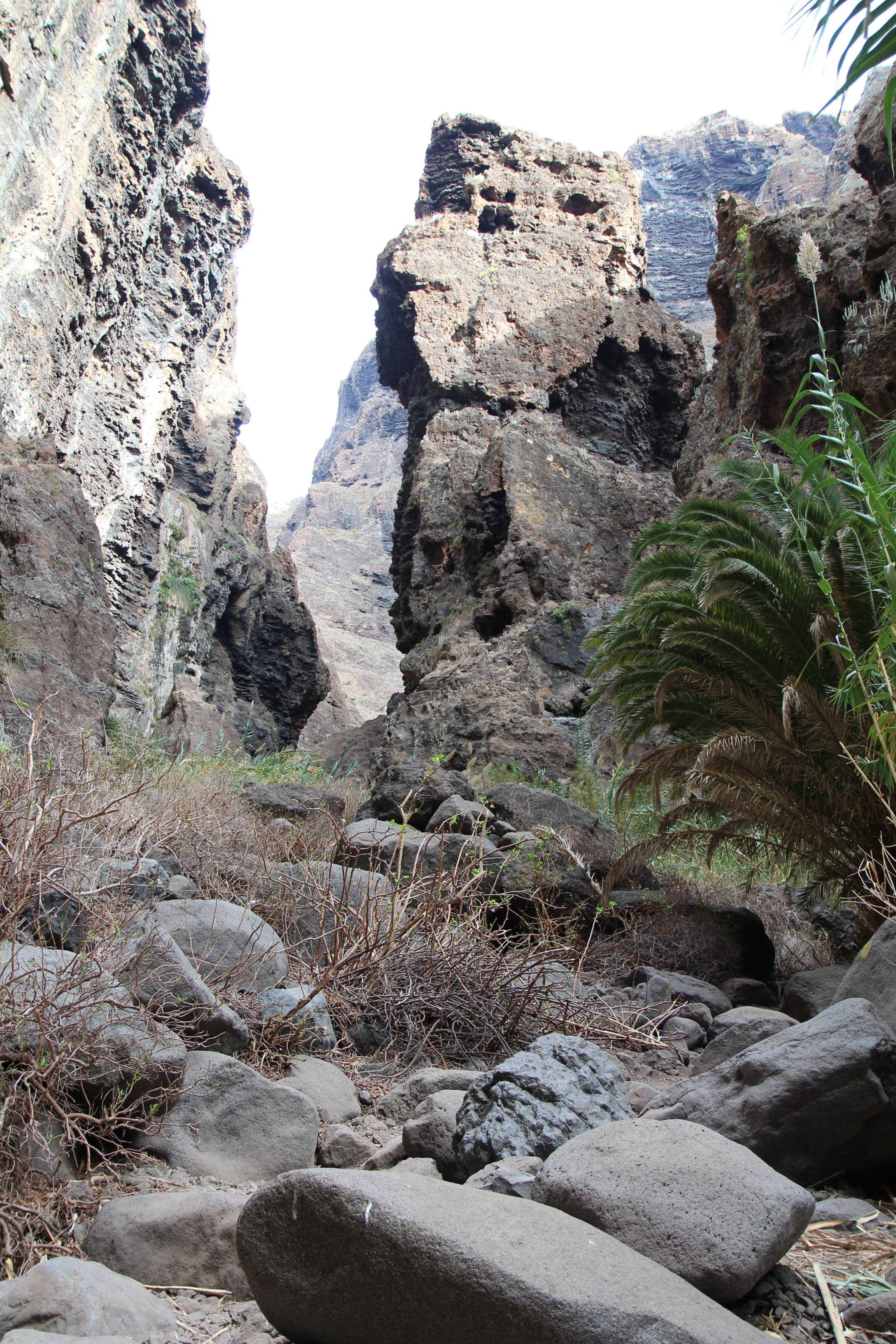 Canon EF-S 17-55mm F2.8 IS USM sample photo. The canyon of masca, teneriffa photography