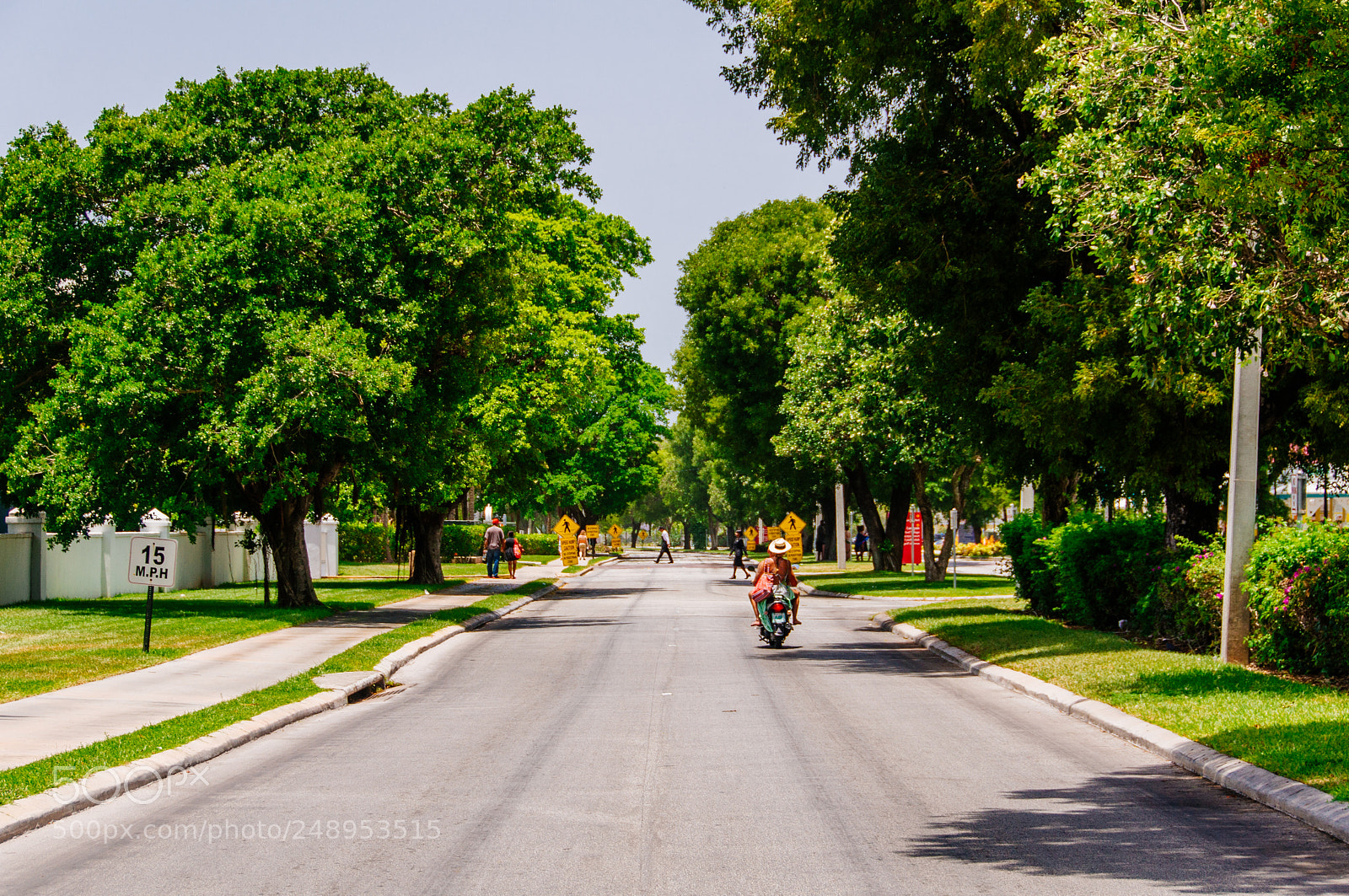 Nikon D90 sample photo. Roaming the streets of photography