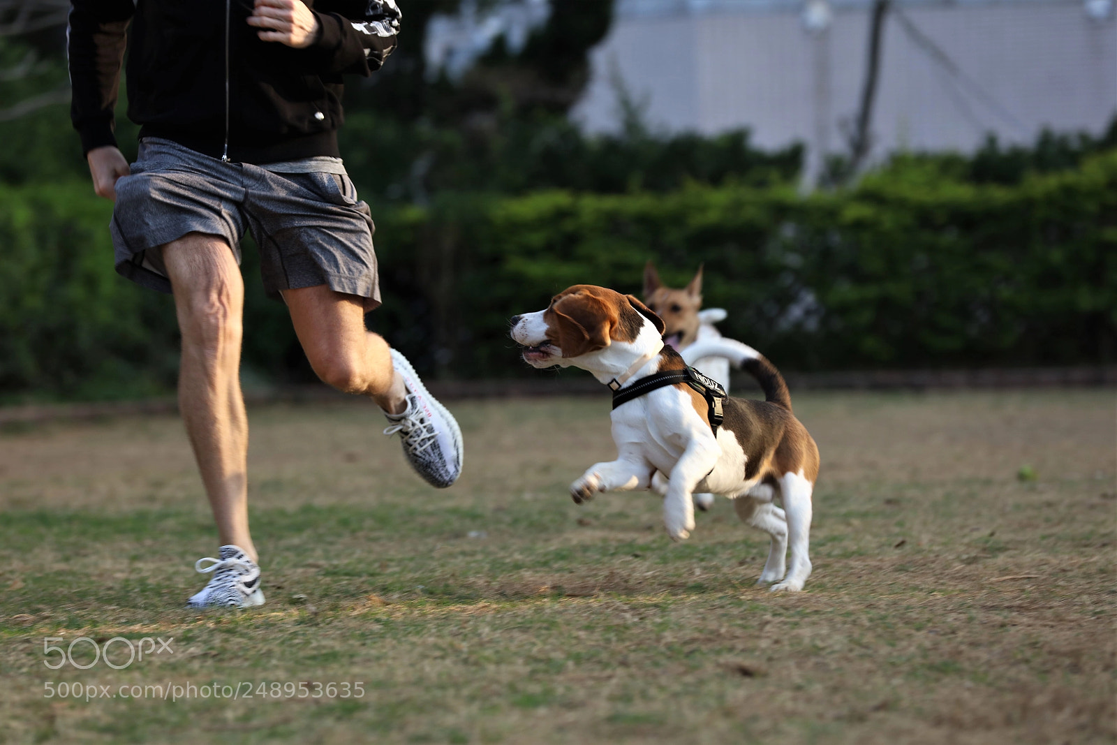 Canon EOS 5DS R sample photo. Ok lets go! photography