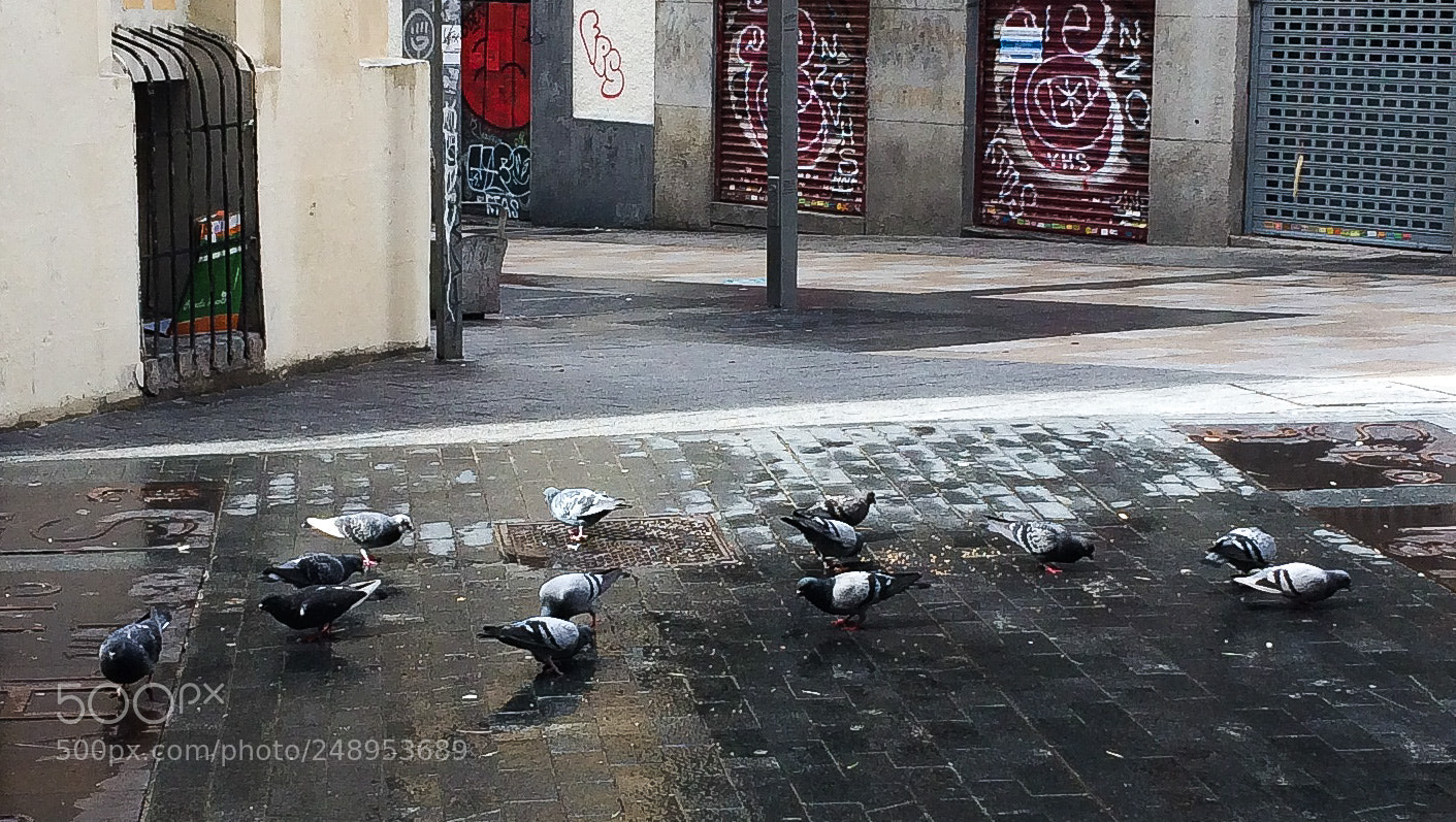 Apple iPhone 5s sample photo. Palomas photography